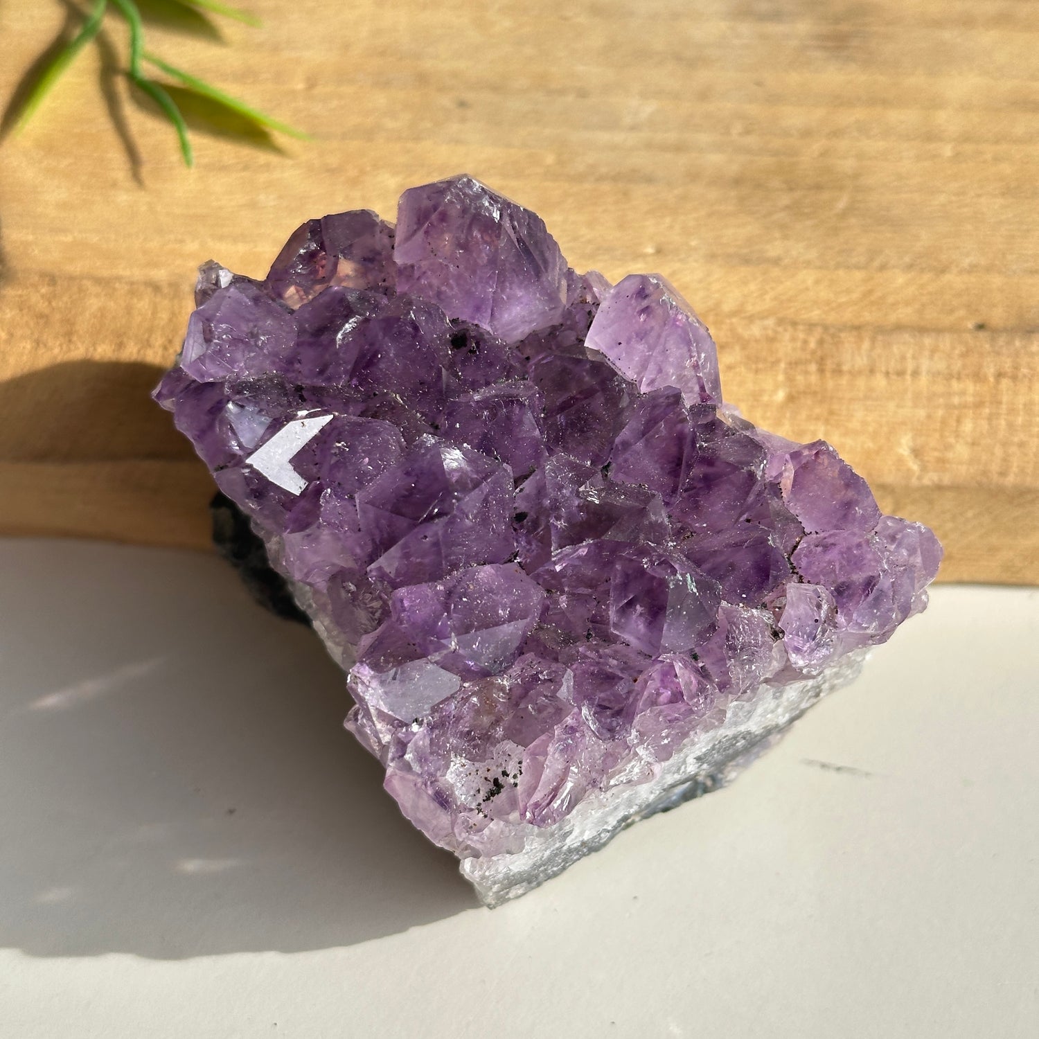 Amethyst Cluster 320g