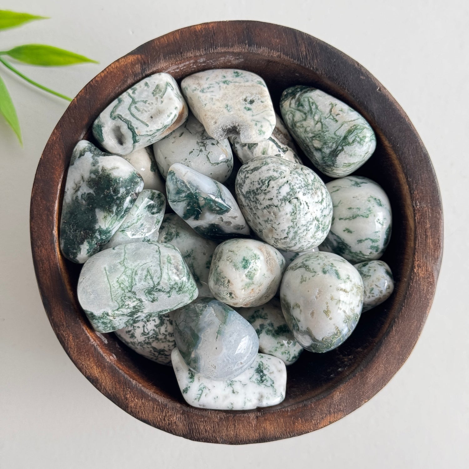 Tree Agate Tumble