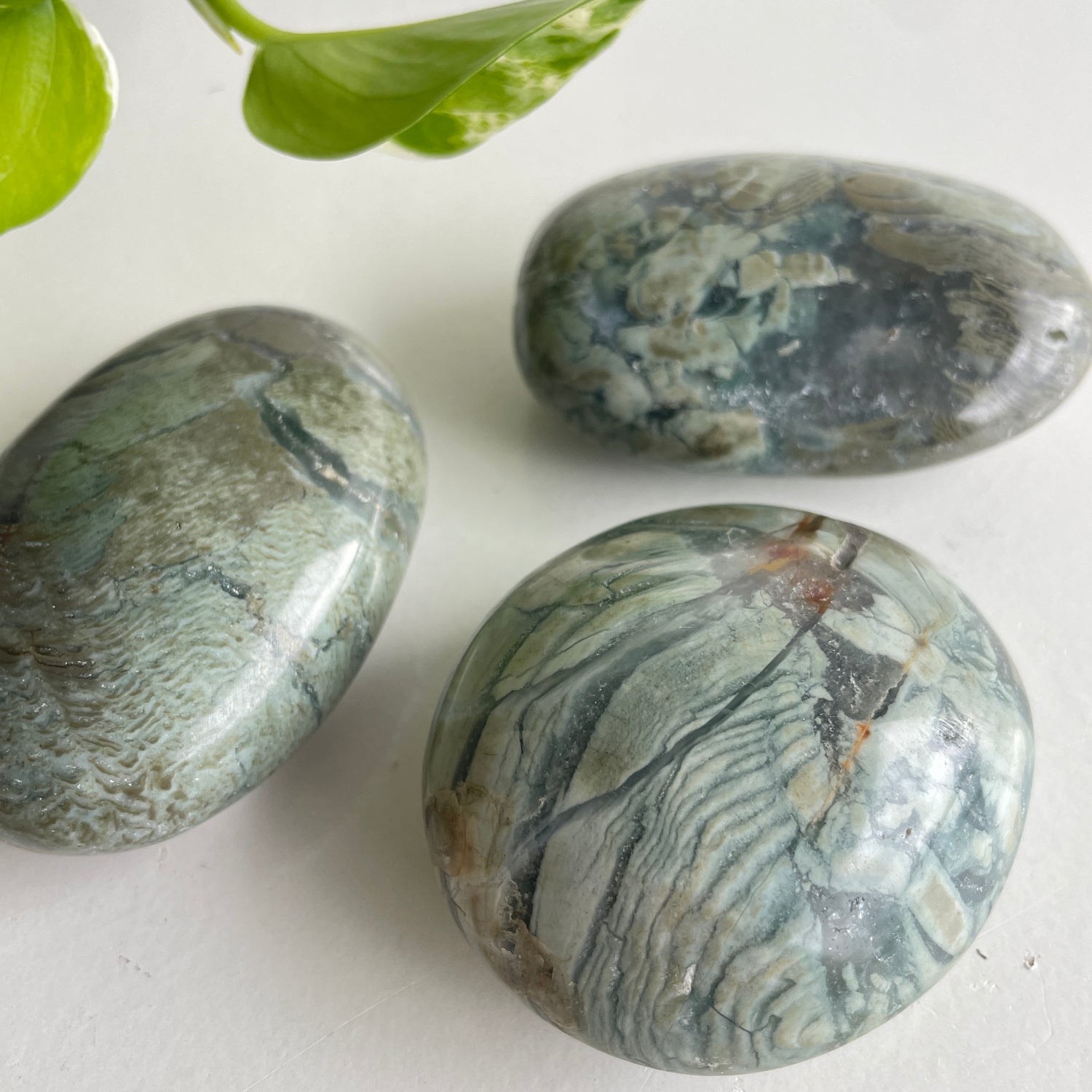 Agatized Jasper Palmstone Large