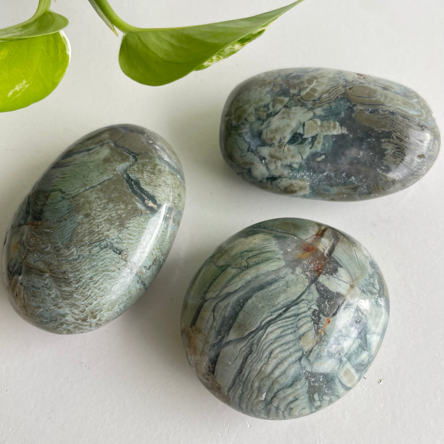 Agatized Jasper Palmstone Large