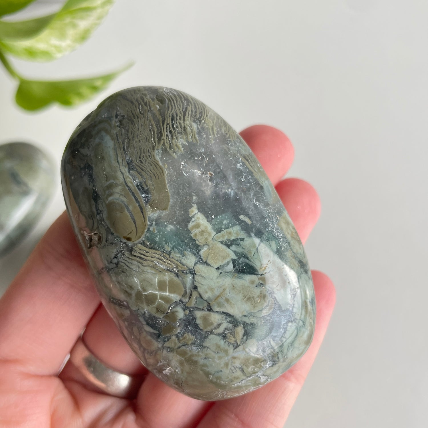 Agatized Jasper Palmstone Large