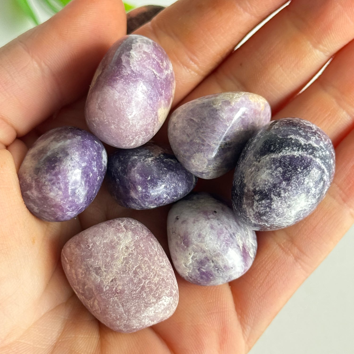 Lepidolite Tumbled