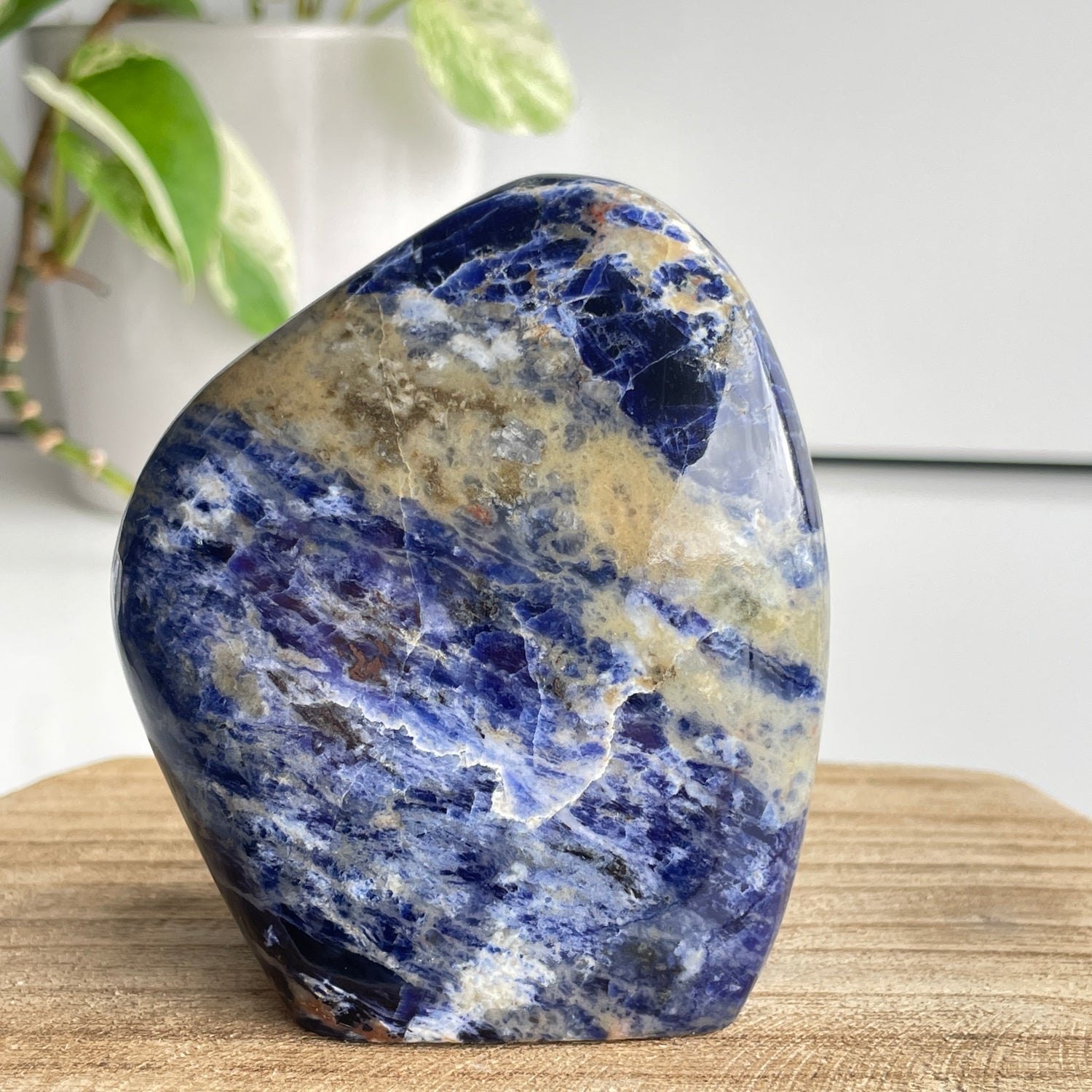 Sodalite High Quality Freeform 8.8cm
