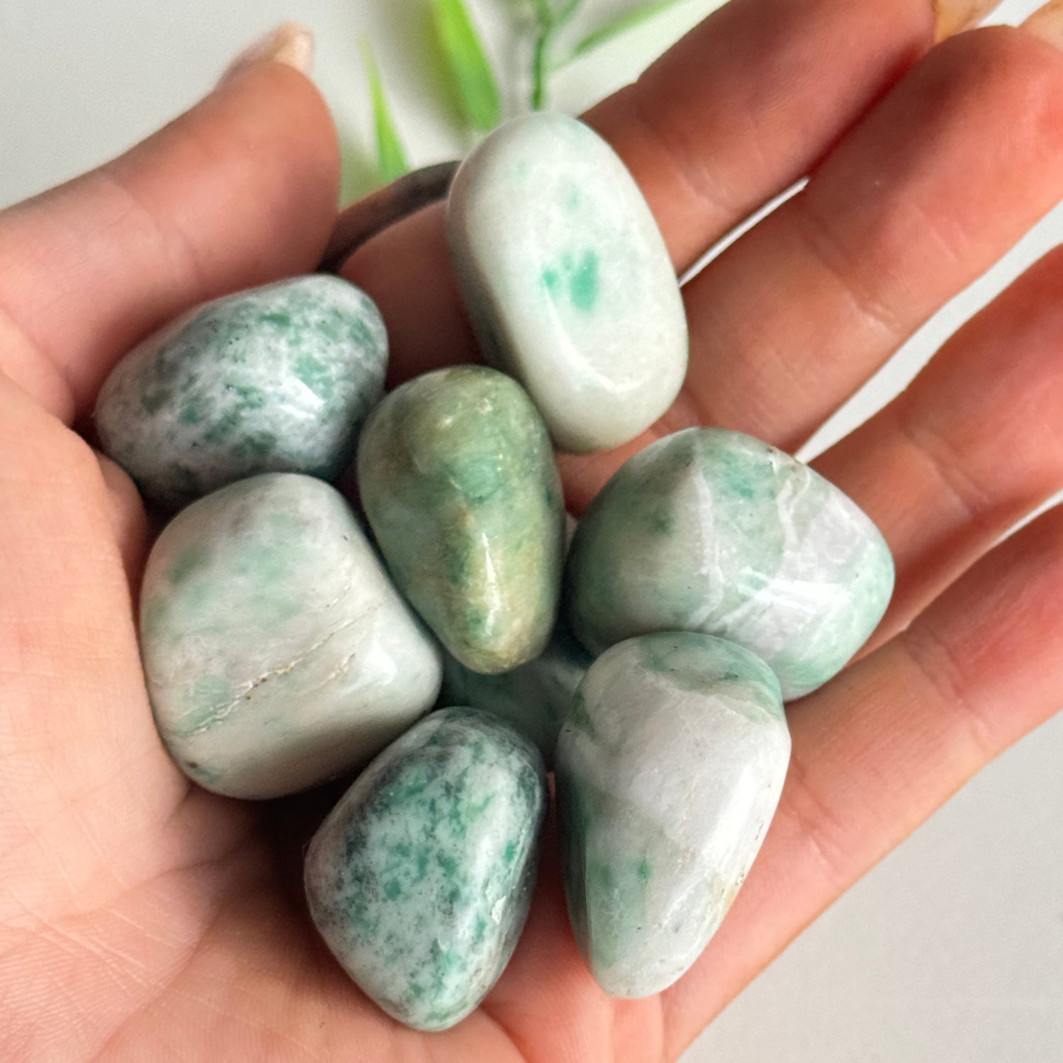 Nan King Jade Tumbled