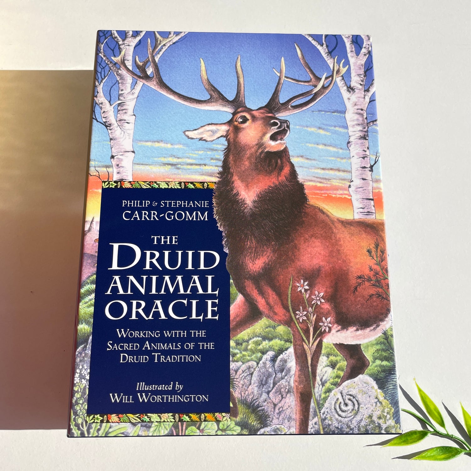 The Druid Animal Oracle Carr-Gomm