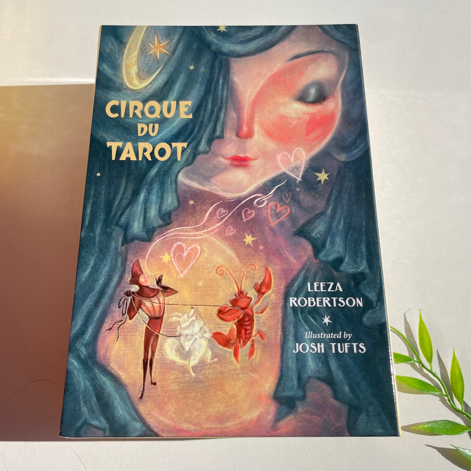 Cirque Du tarot Leeza Robertson