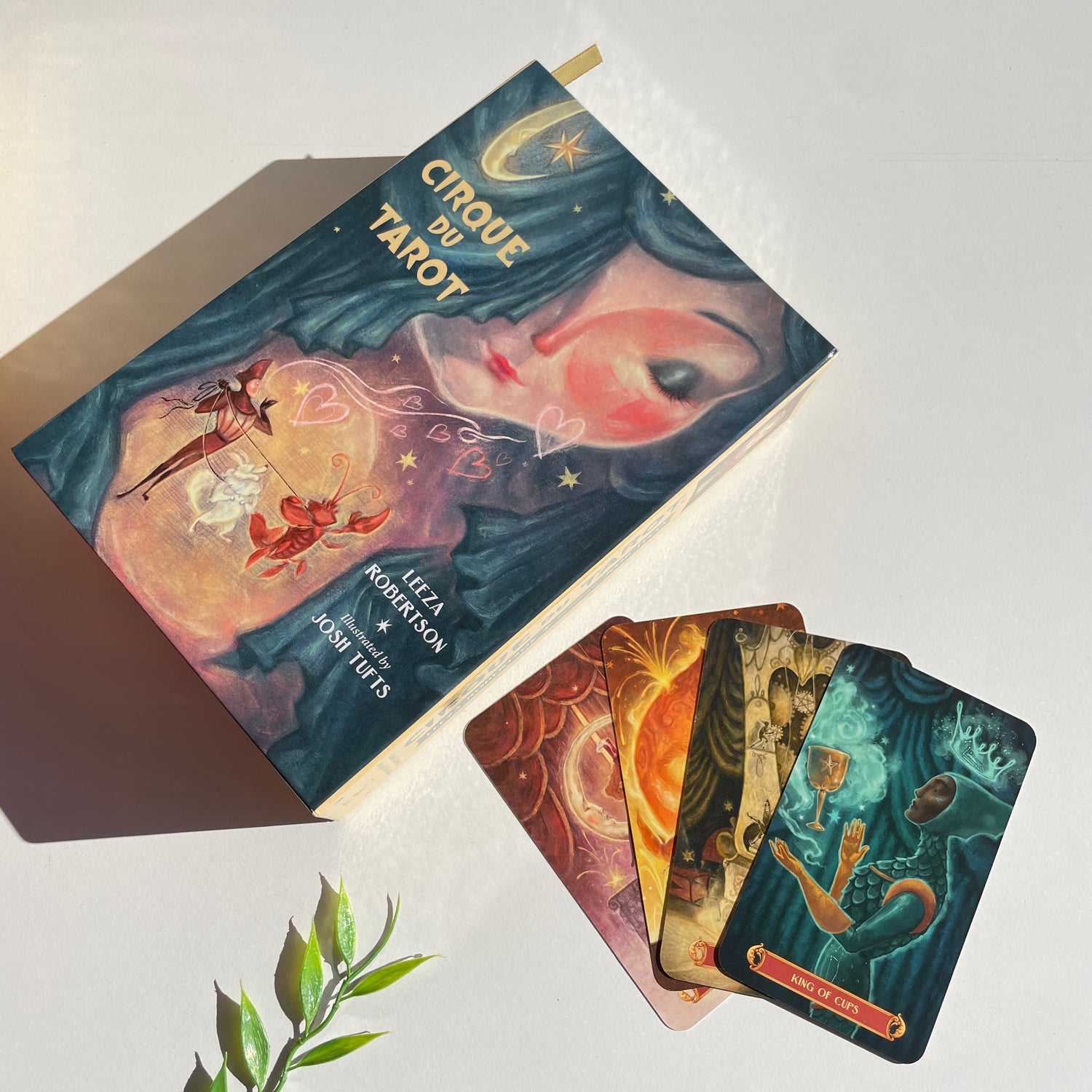 Cirque Du tarot Leeza Robertson