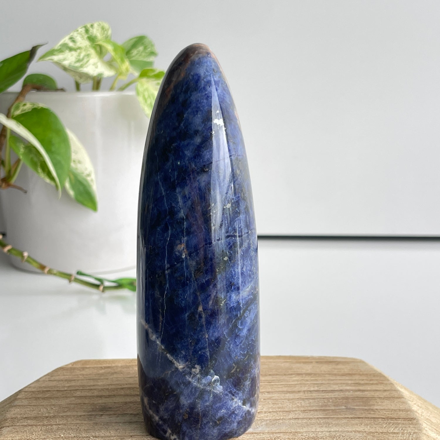 Sodalite High Quality Freeform 13.9cm