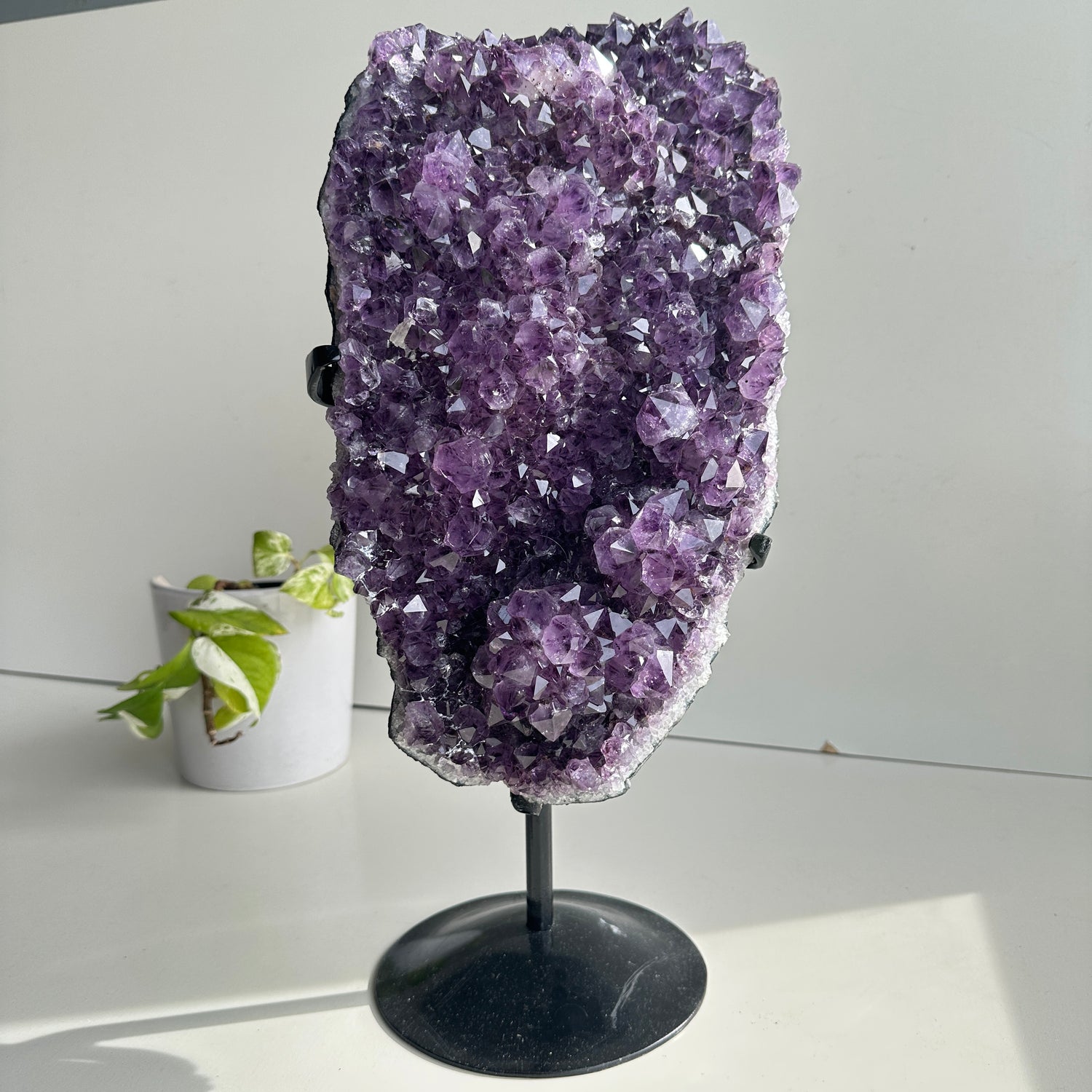 Amethyst Cluster In Stand 7.968kg
