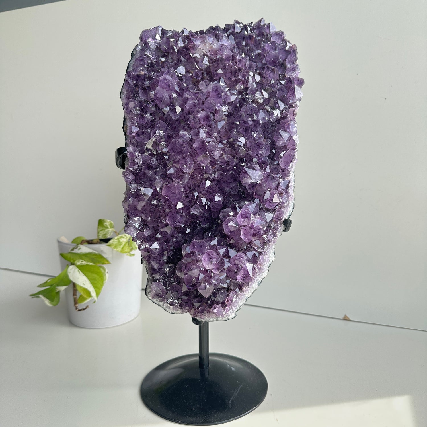 Amethyst Cluster In Stand 7.968kg