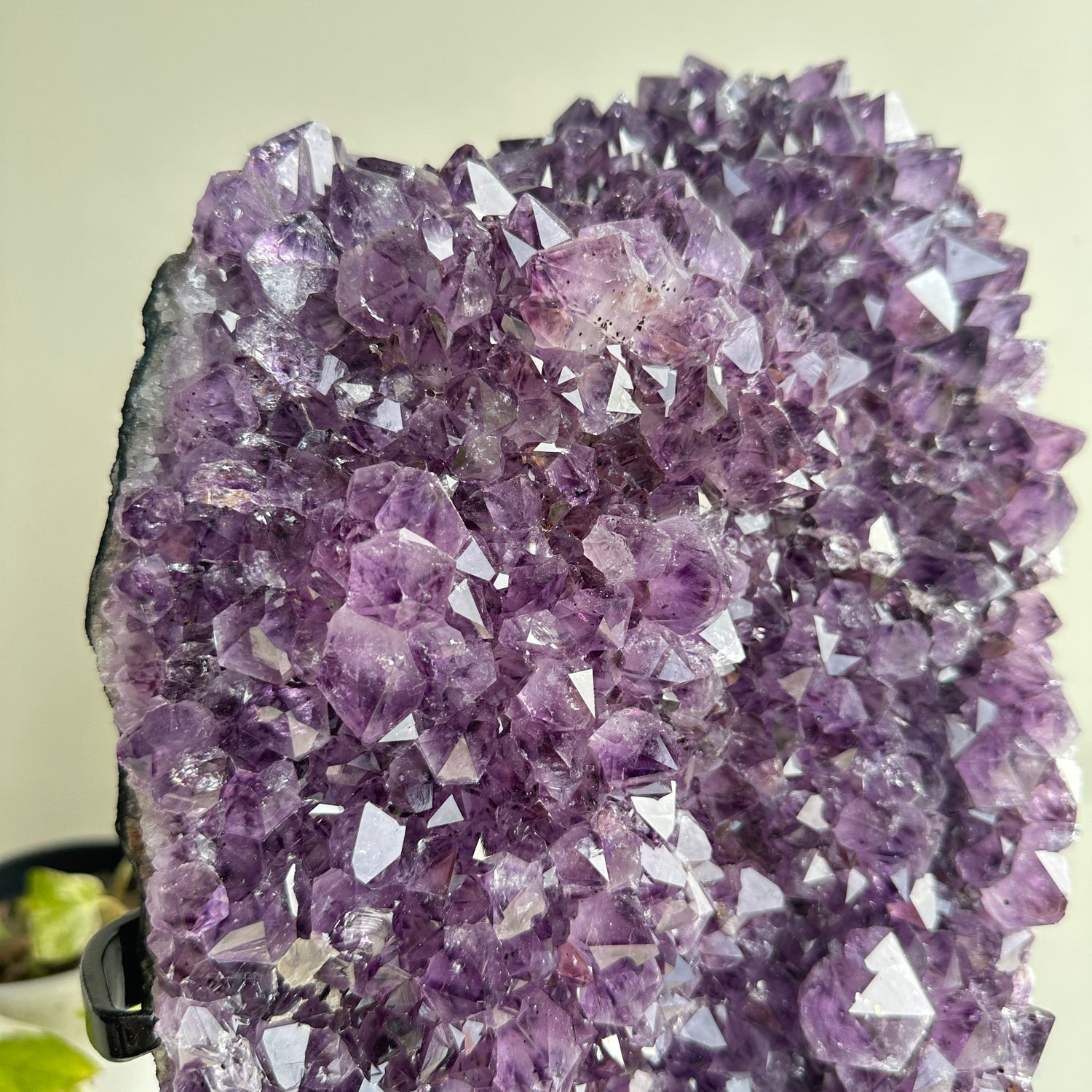 Amethyst Cluster In Stand 7.968kg