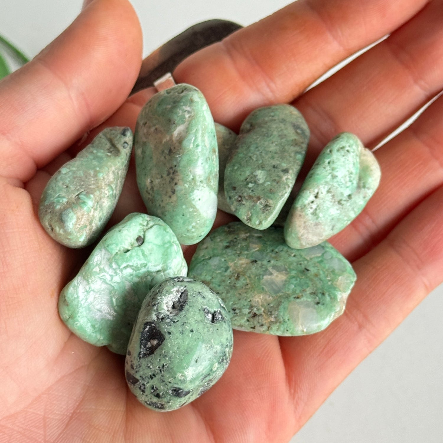 Variscite Tumbled