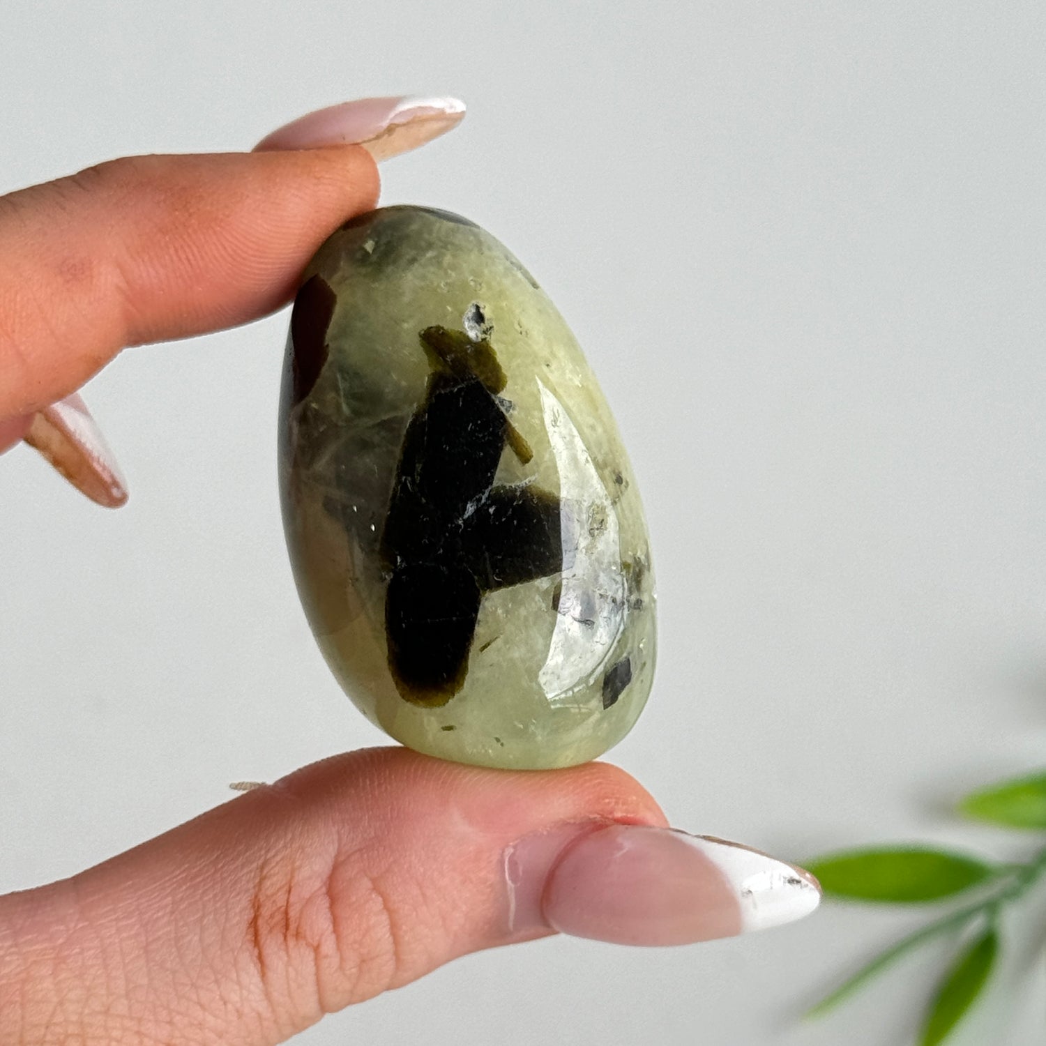 Prehnite Large Tumbled