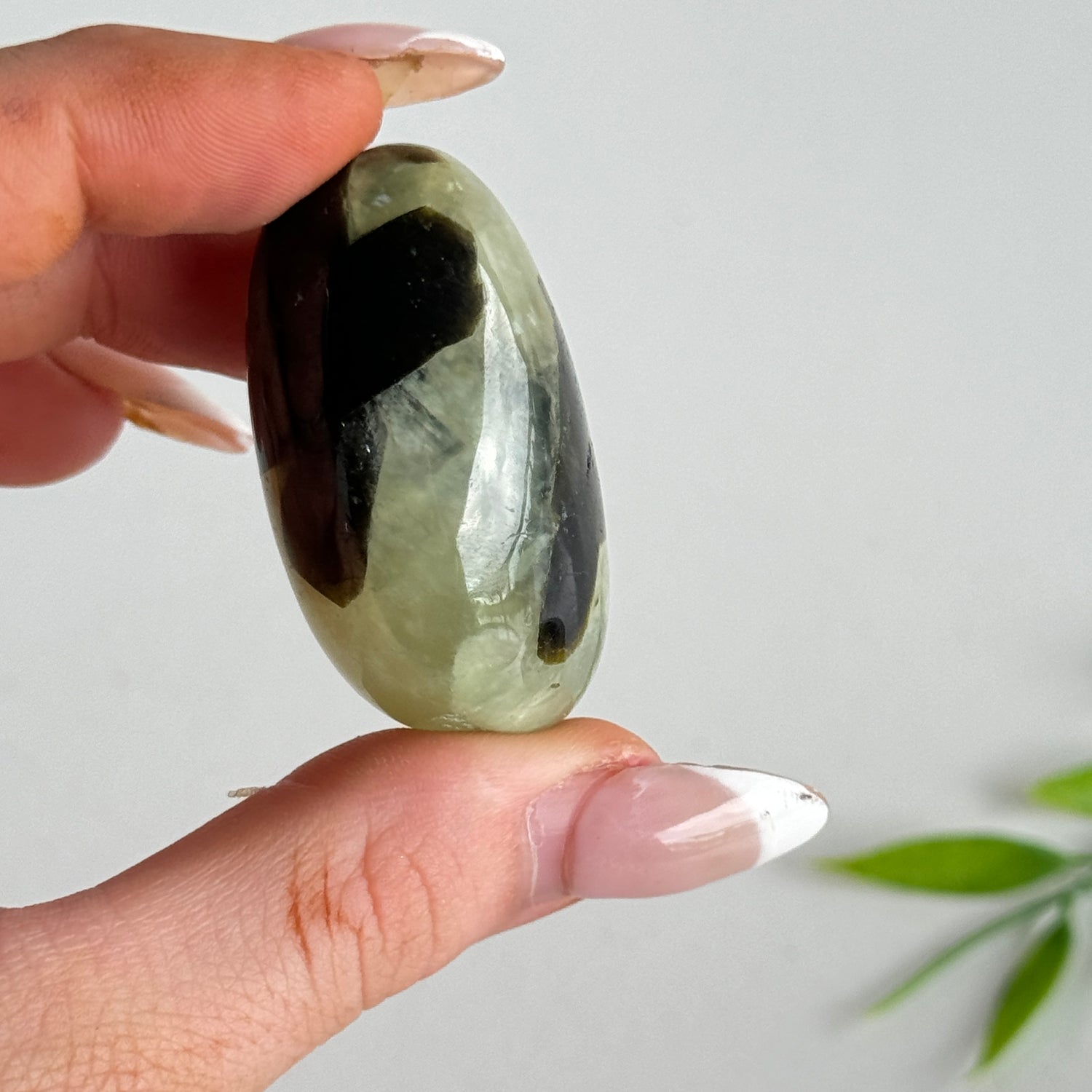 Prehnite Large Tumbled