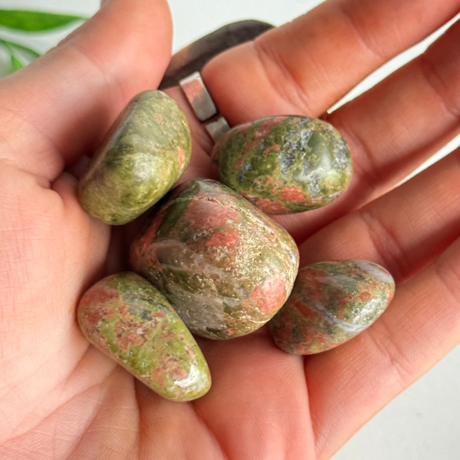 Unakite Tumbled