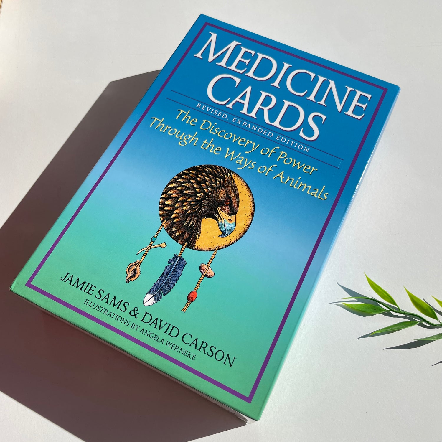 Medicine Cards Jamie Sams