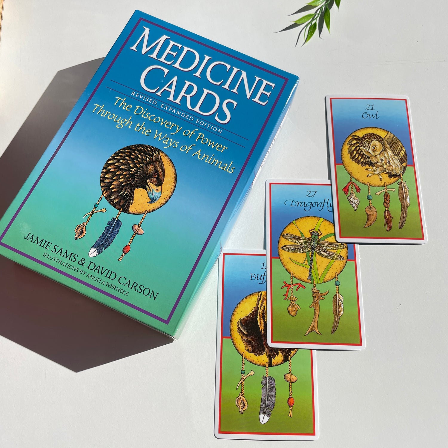 Medicine Cards Jamie Sams