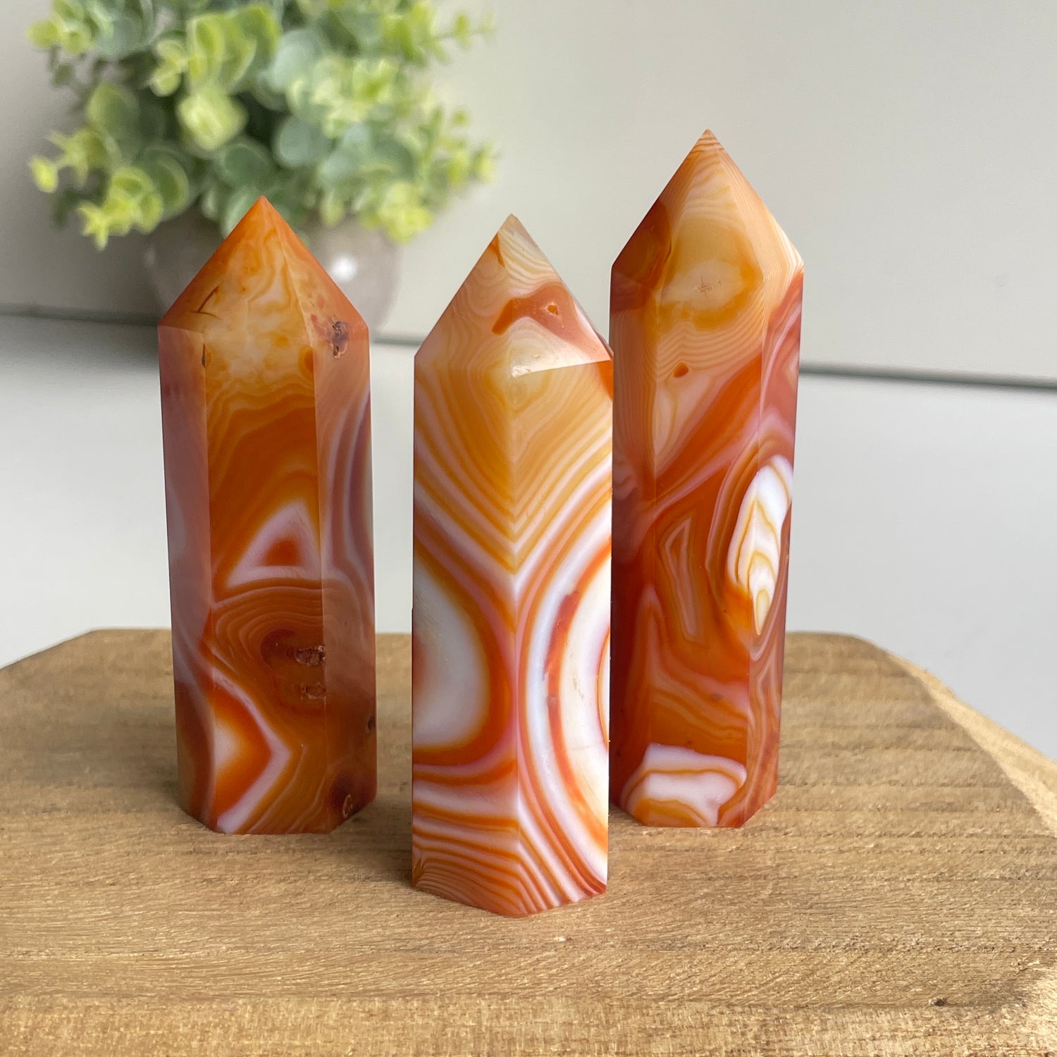 Carnelian Generator Small