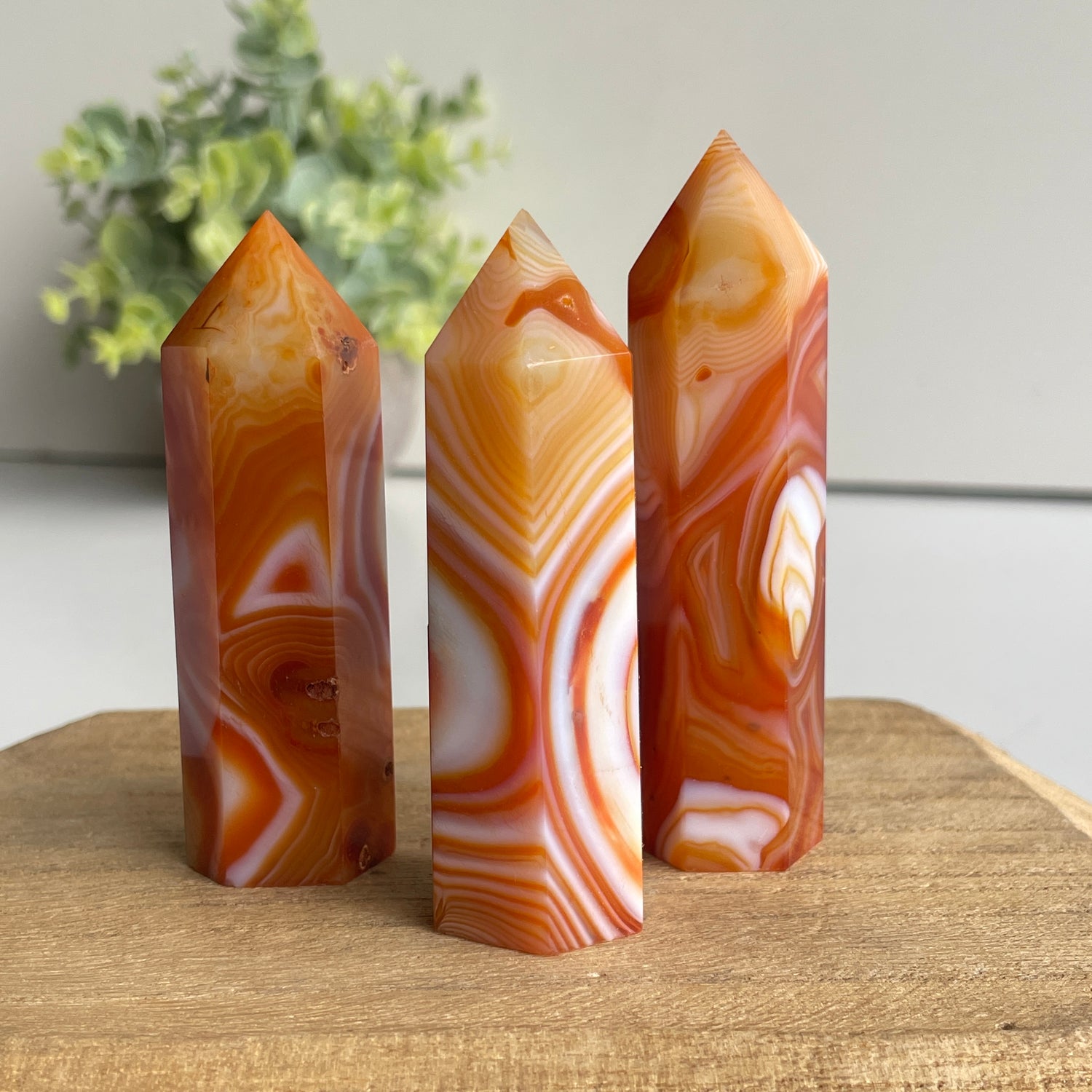 Carnelian Generator Small