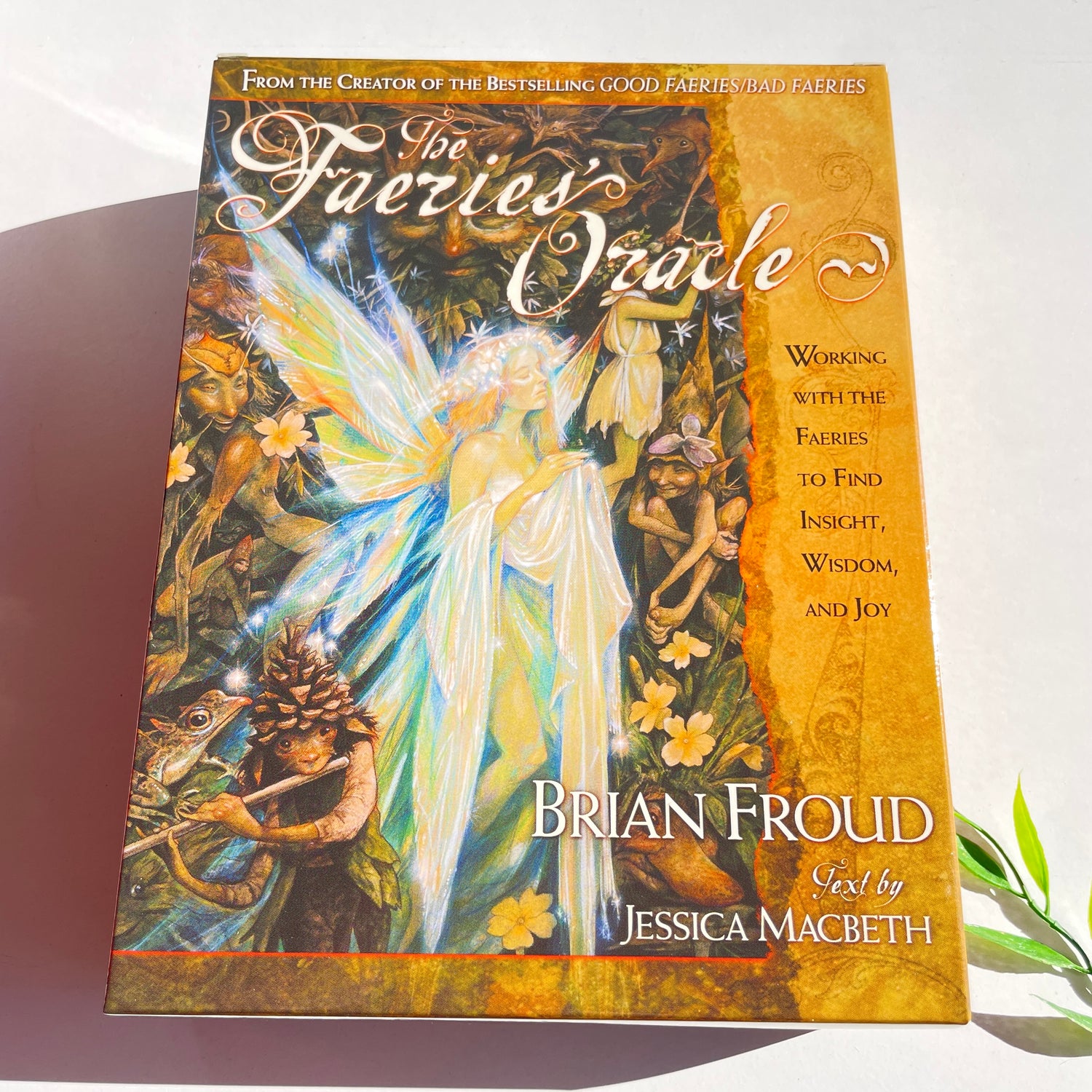 The Faeries Oracle Brian Froud