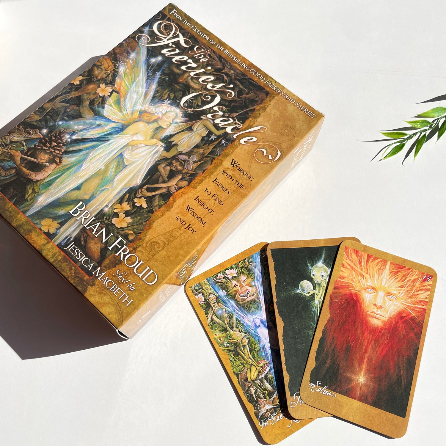 The Faeries Oracle Brian Froud