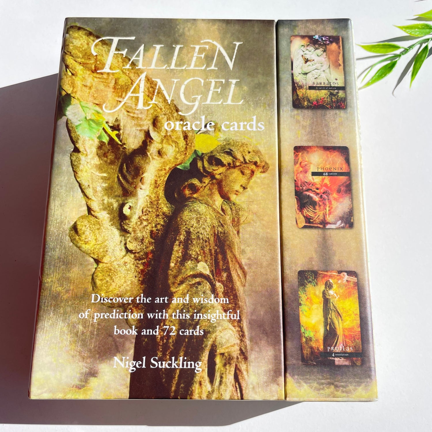 Fallen Angel Oracle Cards Nigel Suckling
