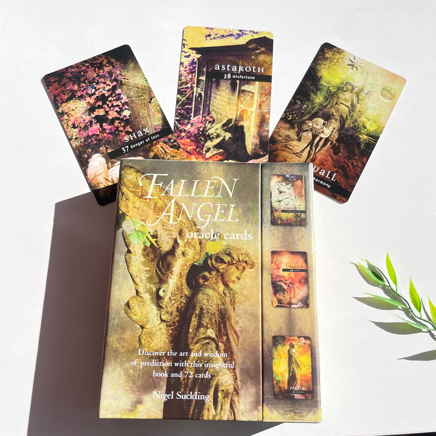 Fallen Angel Oracle Cards Nigel Suckling
