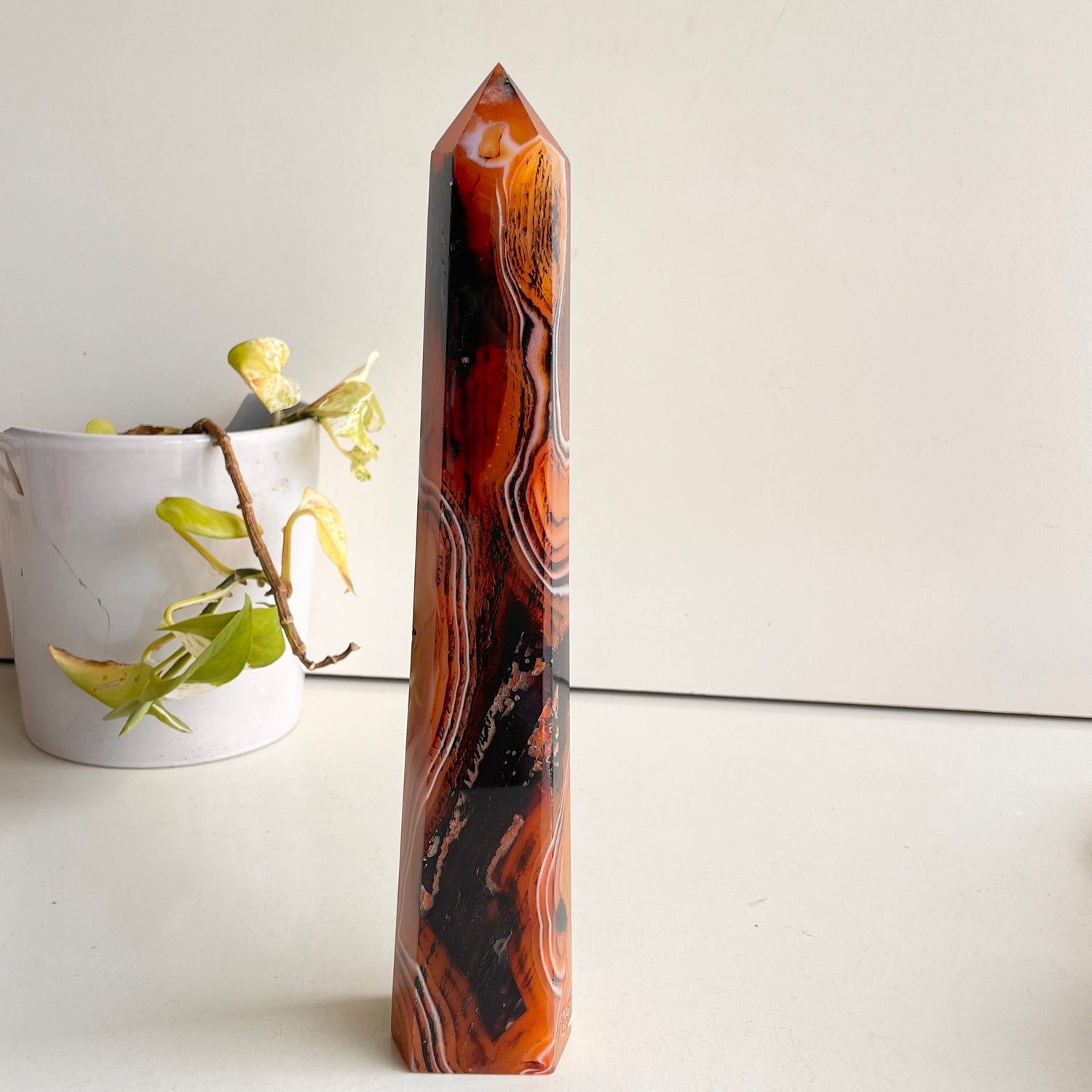Sardonyx Generator 27.3cm