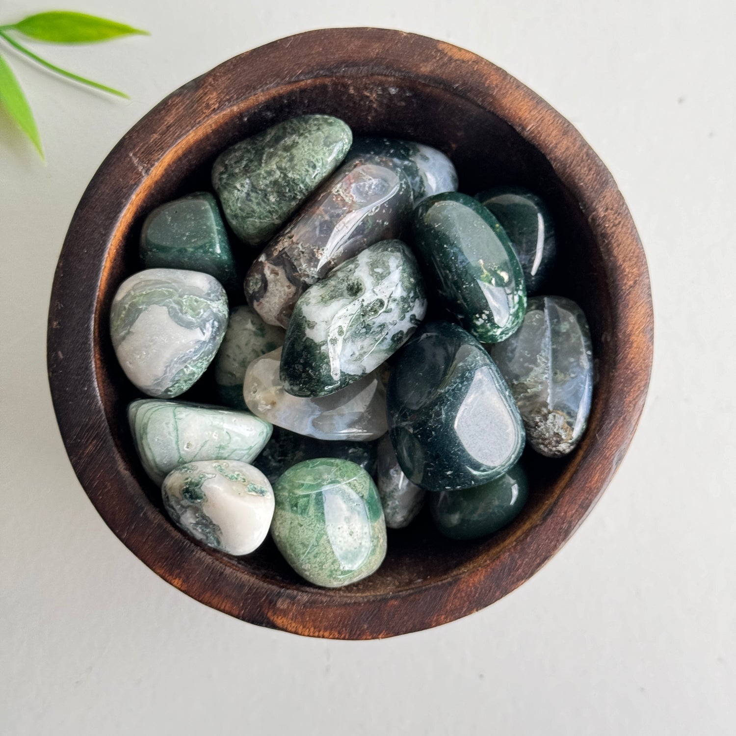 Moss Agate Tumbled