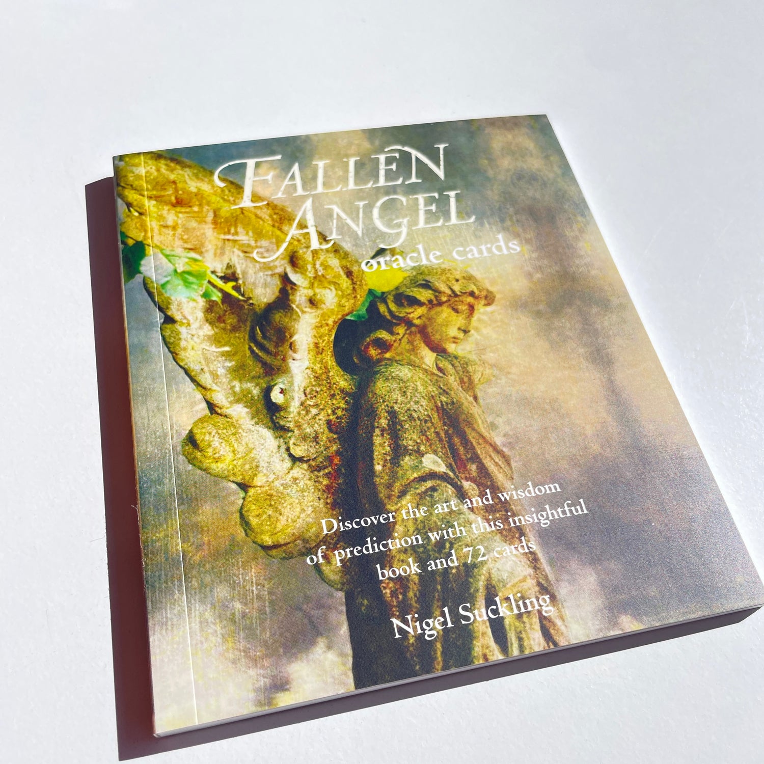 Fallen Angel Oracle Cards Nigel Suckling