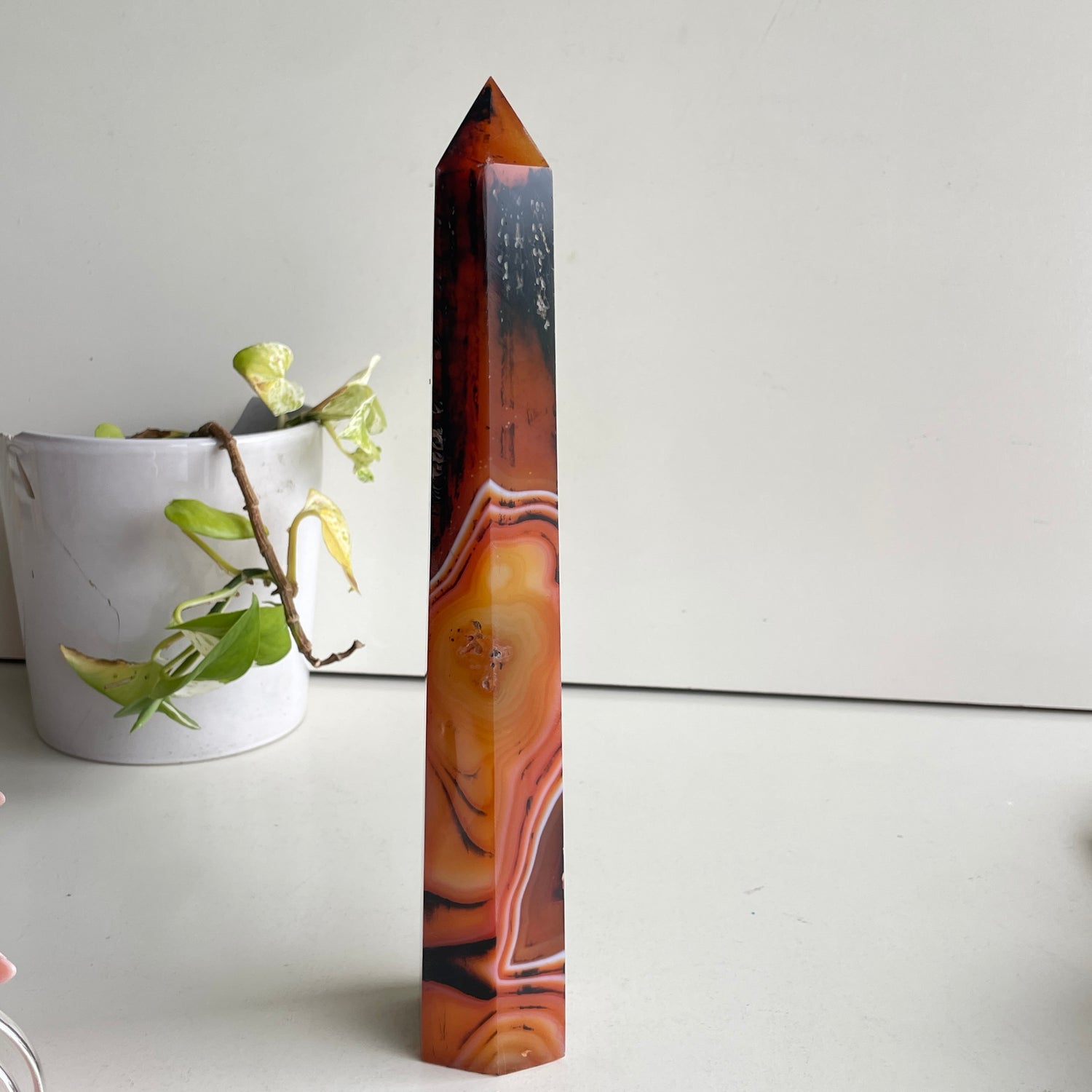 Sardonyx Generator 27.3cm