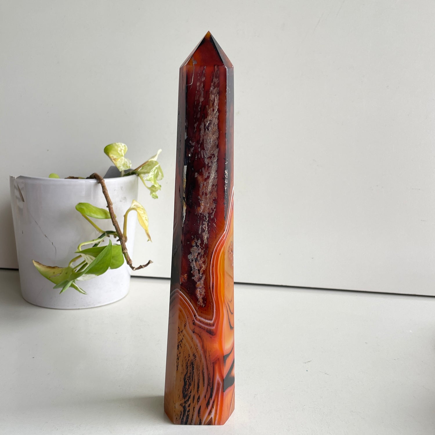 Sardonyx Generator 27.3cm