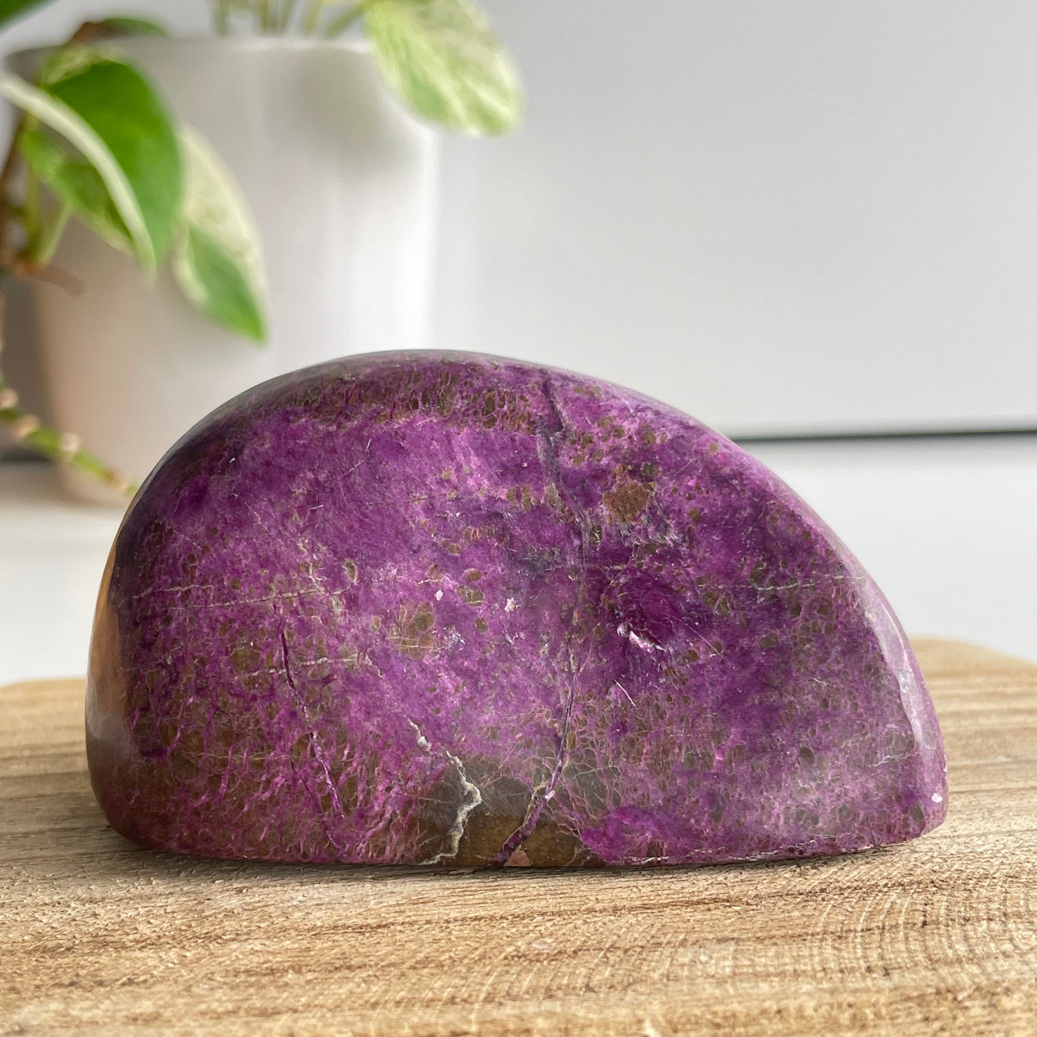 Stichtite In Serpentine ( Atlantisite ) Freeform 5.4cm