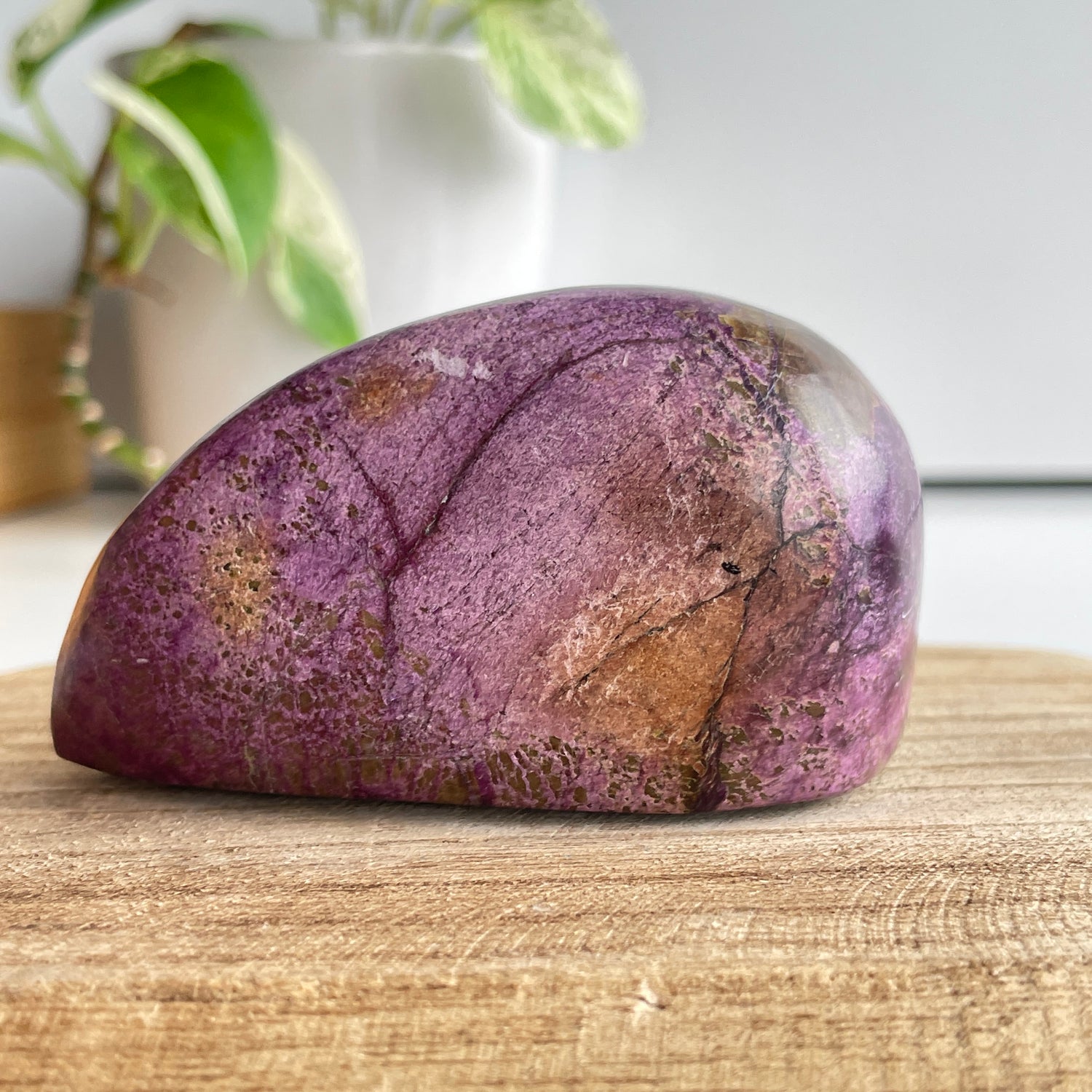 Stichtite In Serpentine ( Atlantisite ) Freeform 5.4cm