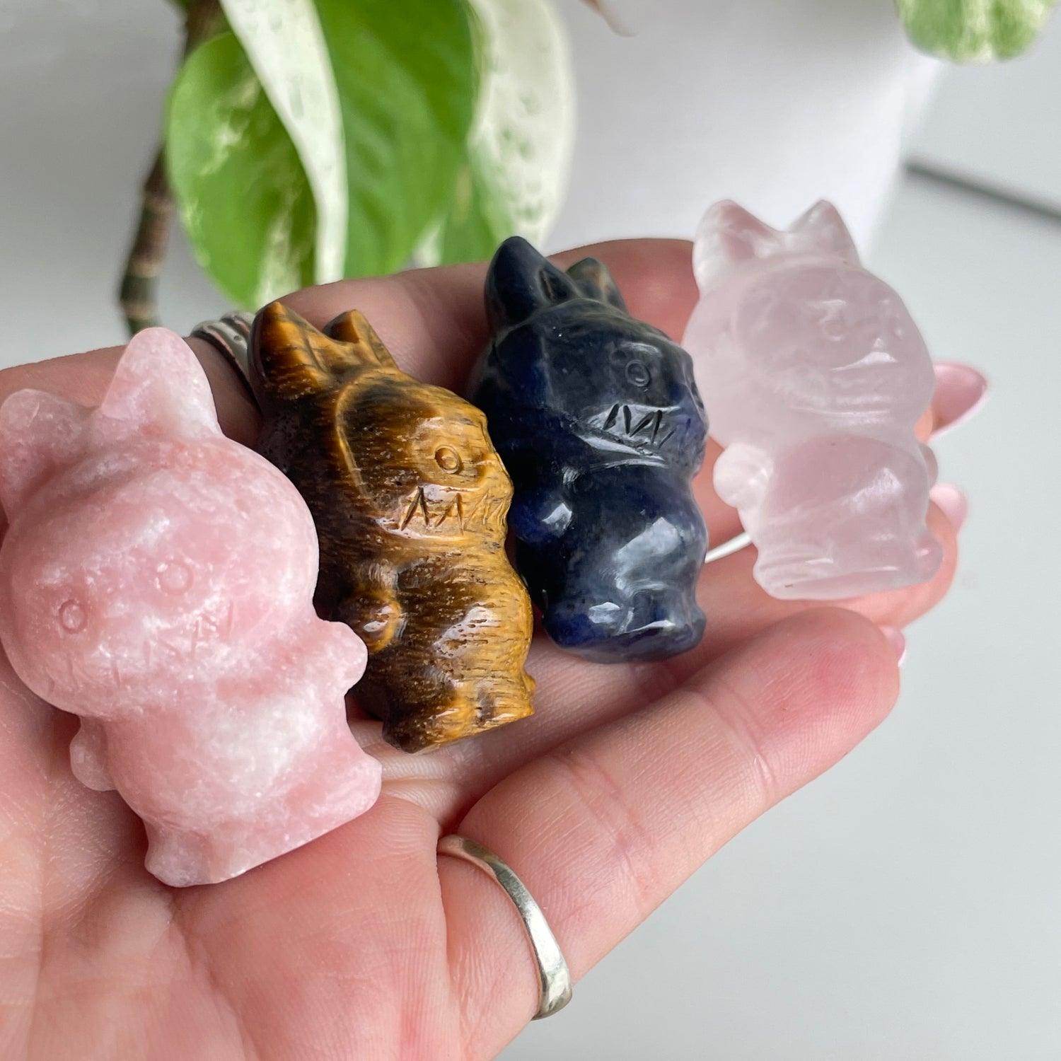 Crystal Labubu Assorted