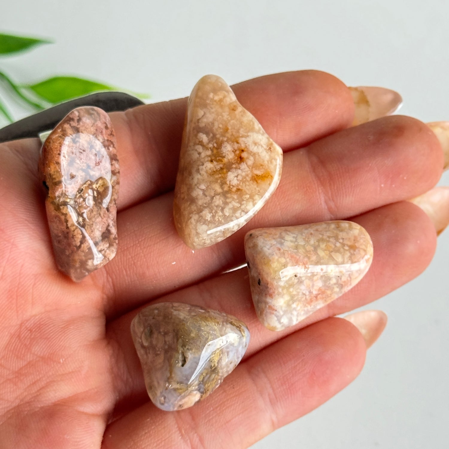 Pink Moss Agate Tumble
