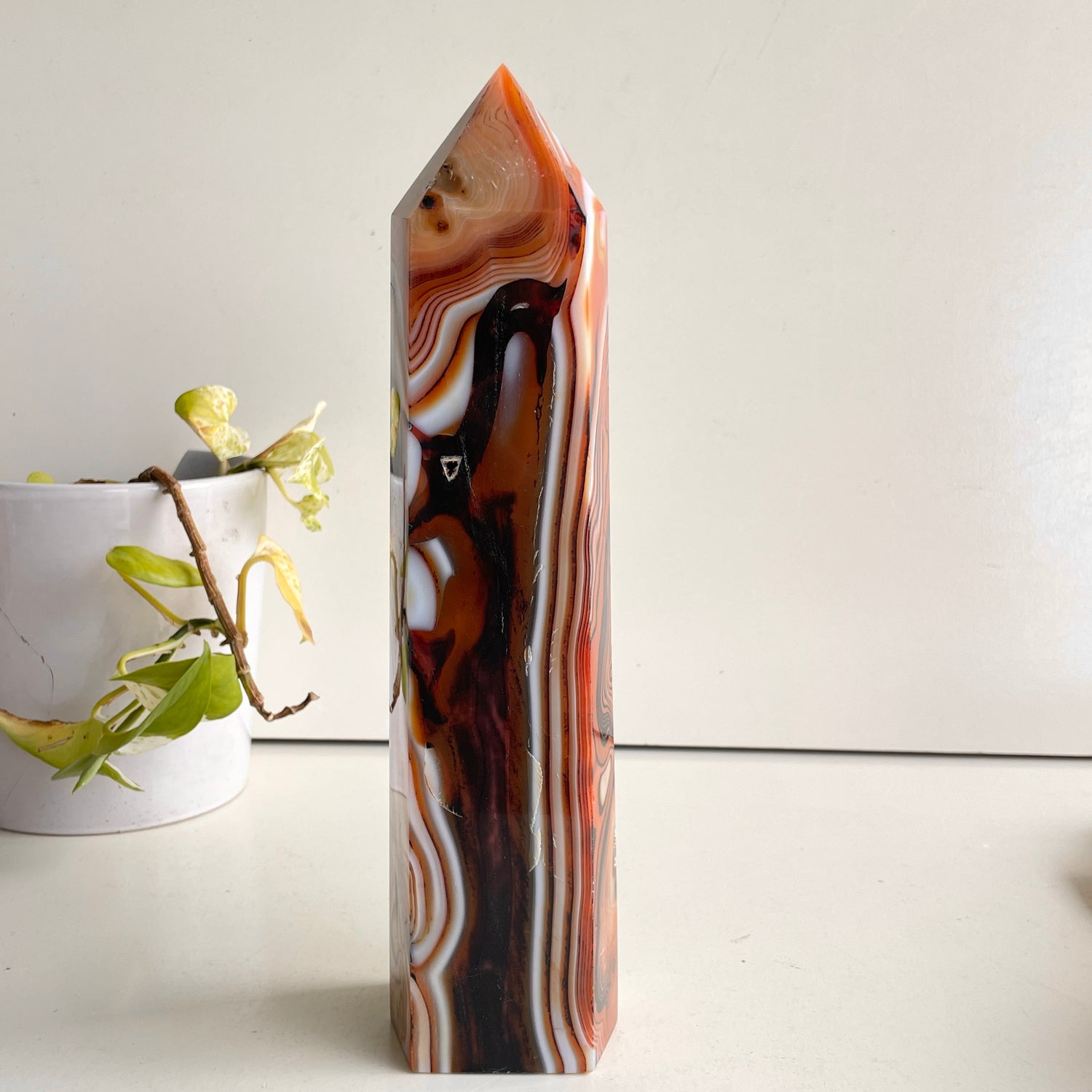 Sardonyx Generator 28.1cm