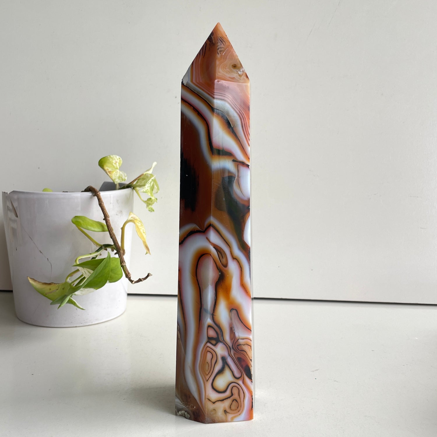 Sardonyx Generator 28.1cm