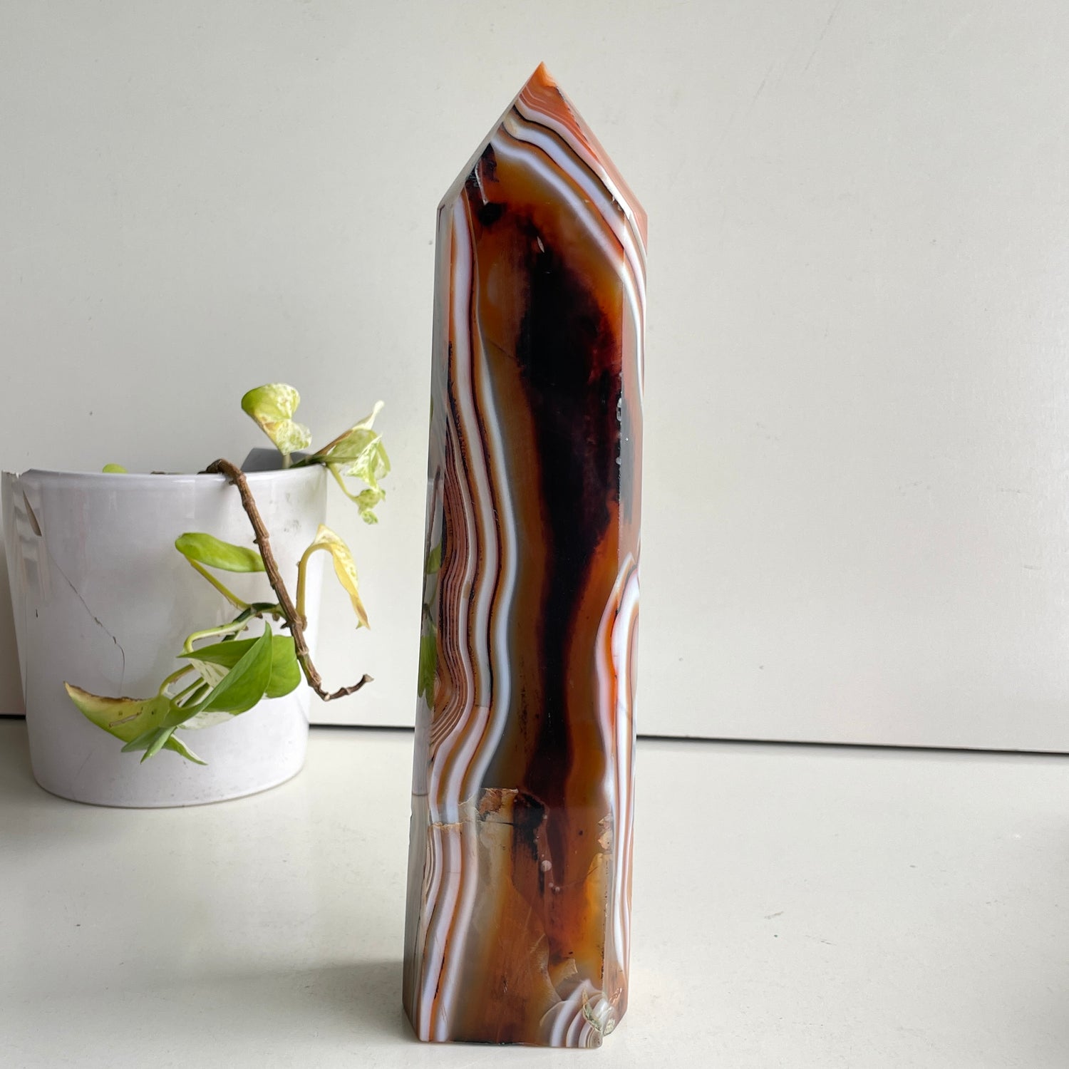 Sardonyx Generator 28.1cm