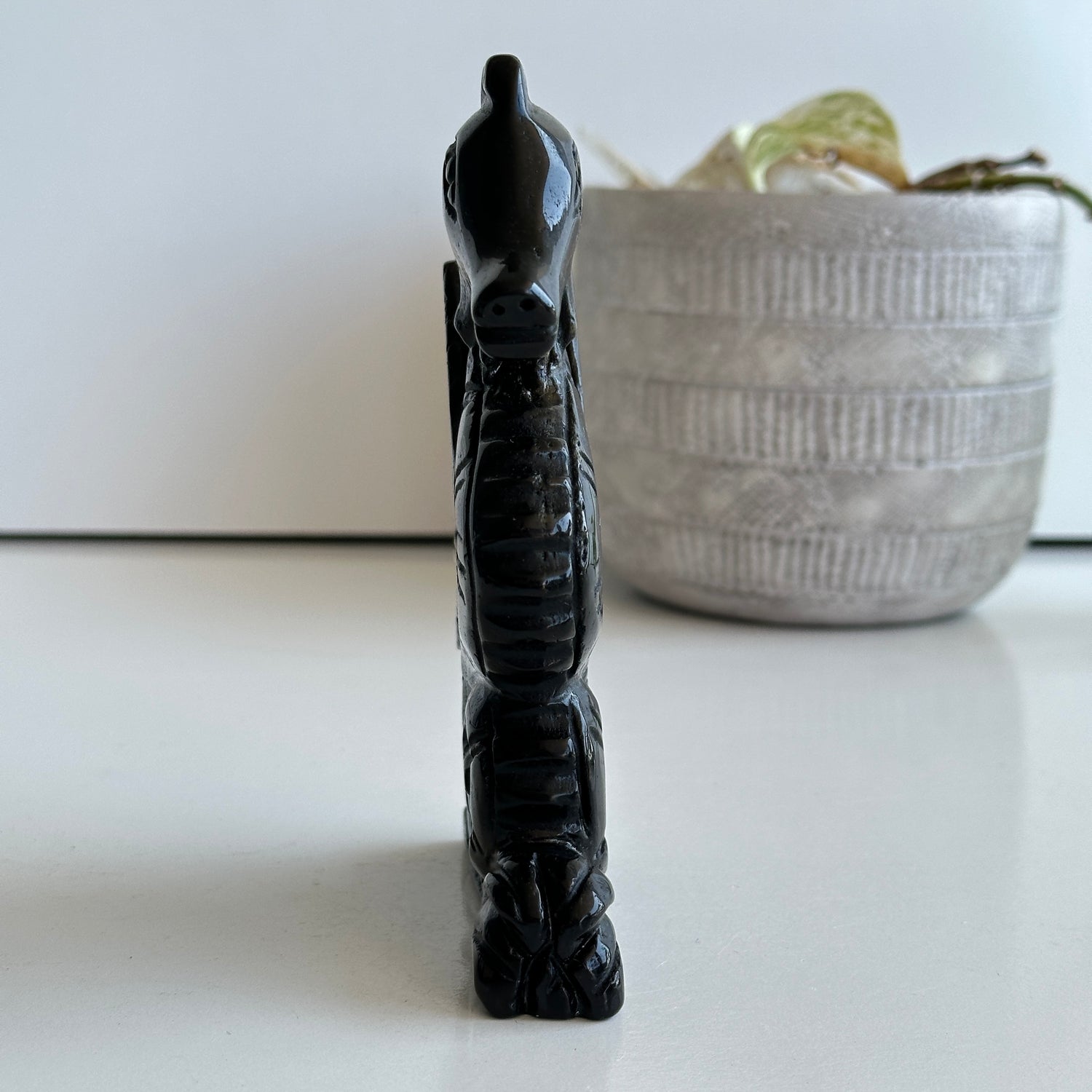 Obsidian Sea Horse 1