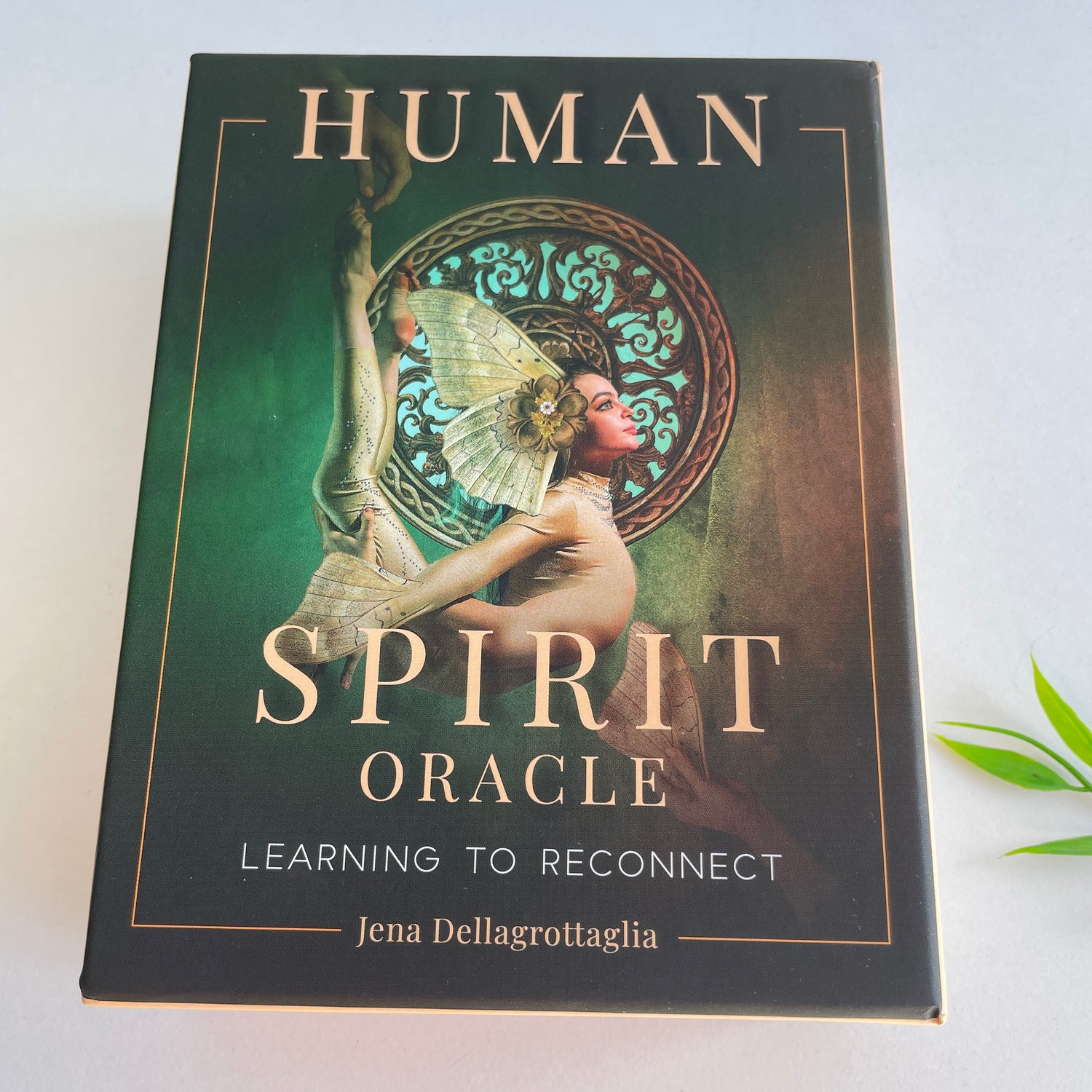 Human Spirit Oracle Jena Dellagrottaglia