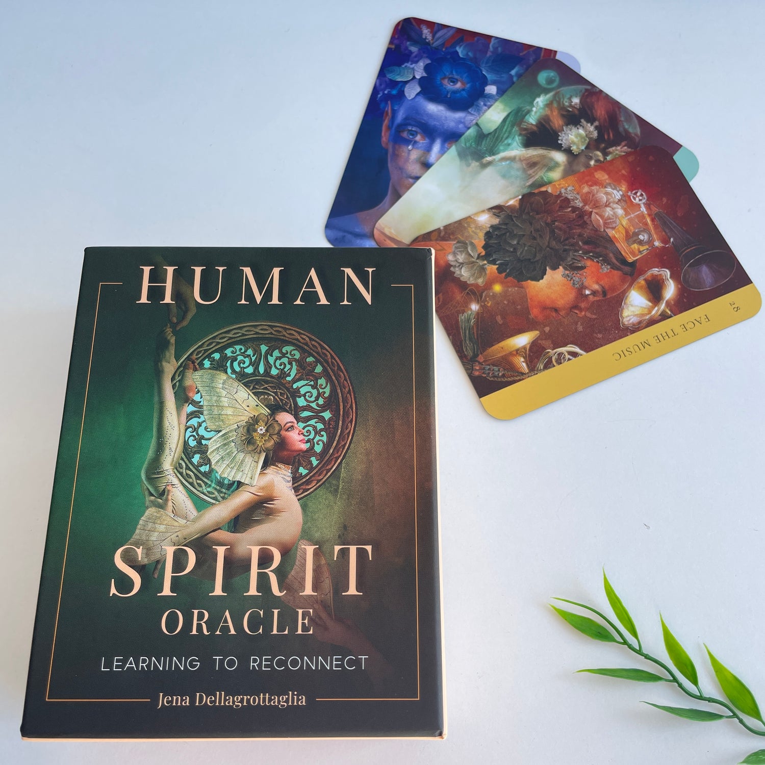 Human Spirit Oracle Jena Dellagrottaglia