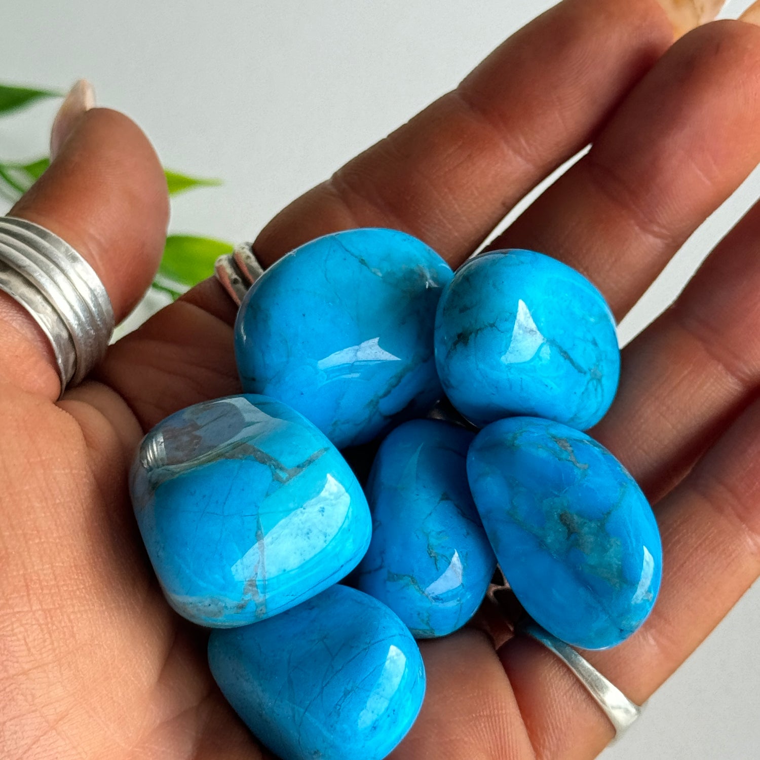 Blue Howlite Tumbled