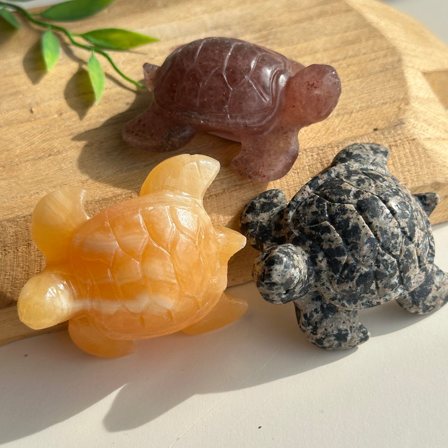 Crystal Sea Turtle