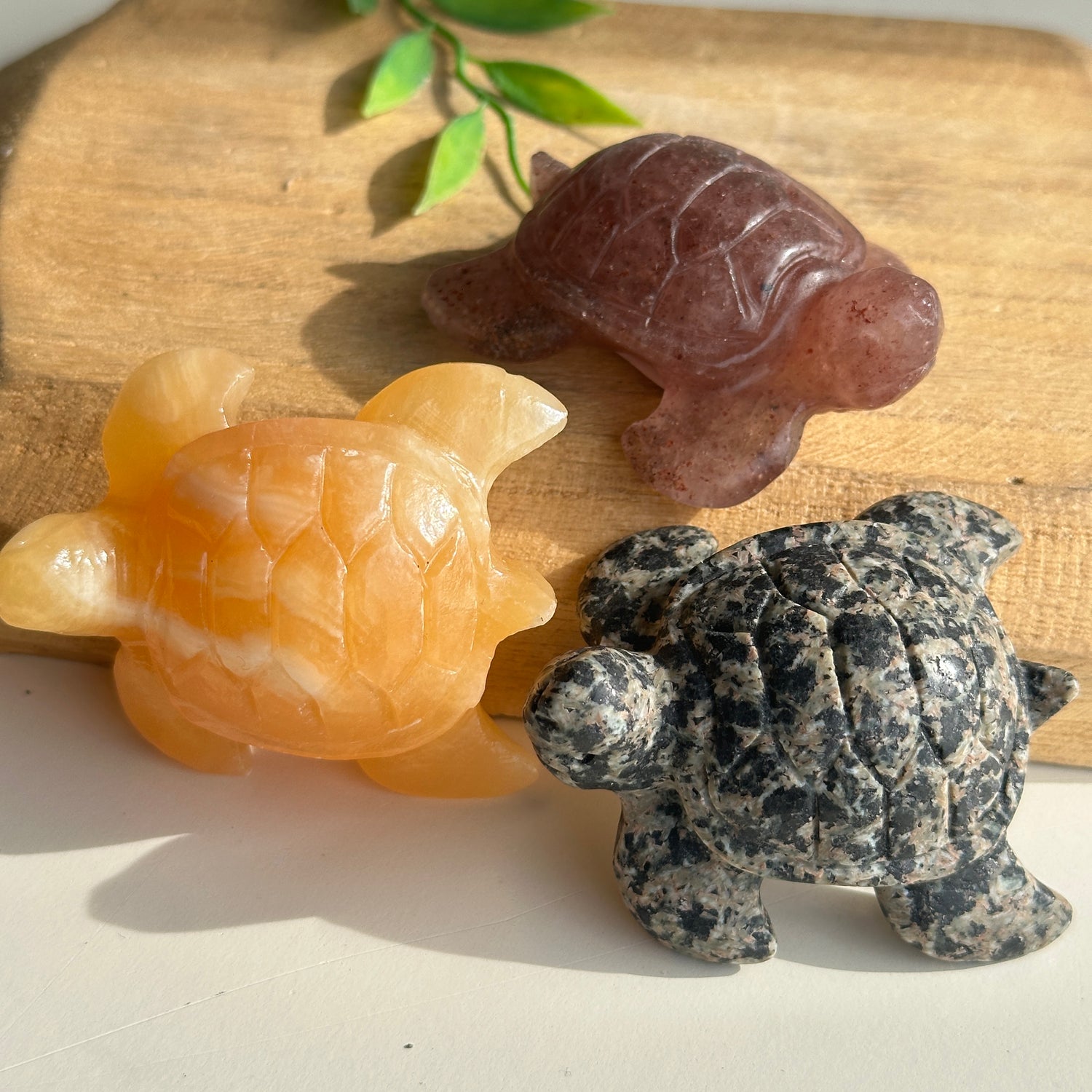 Crystal Sea Turtle