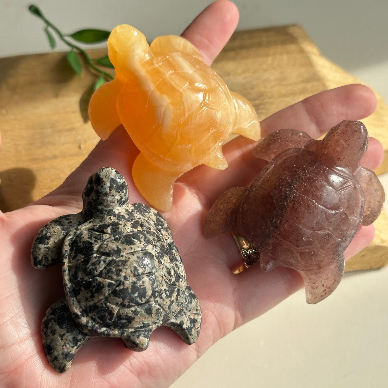 Crystal Sea Turtle