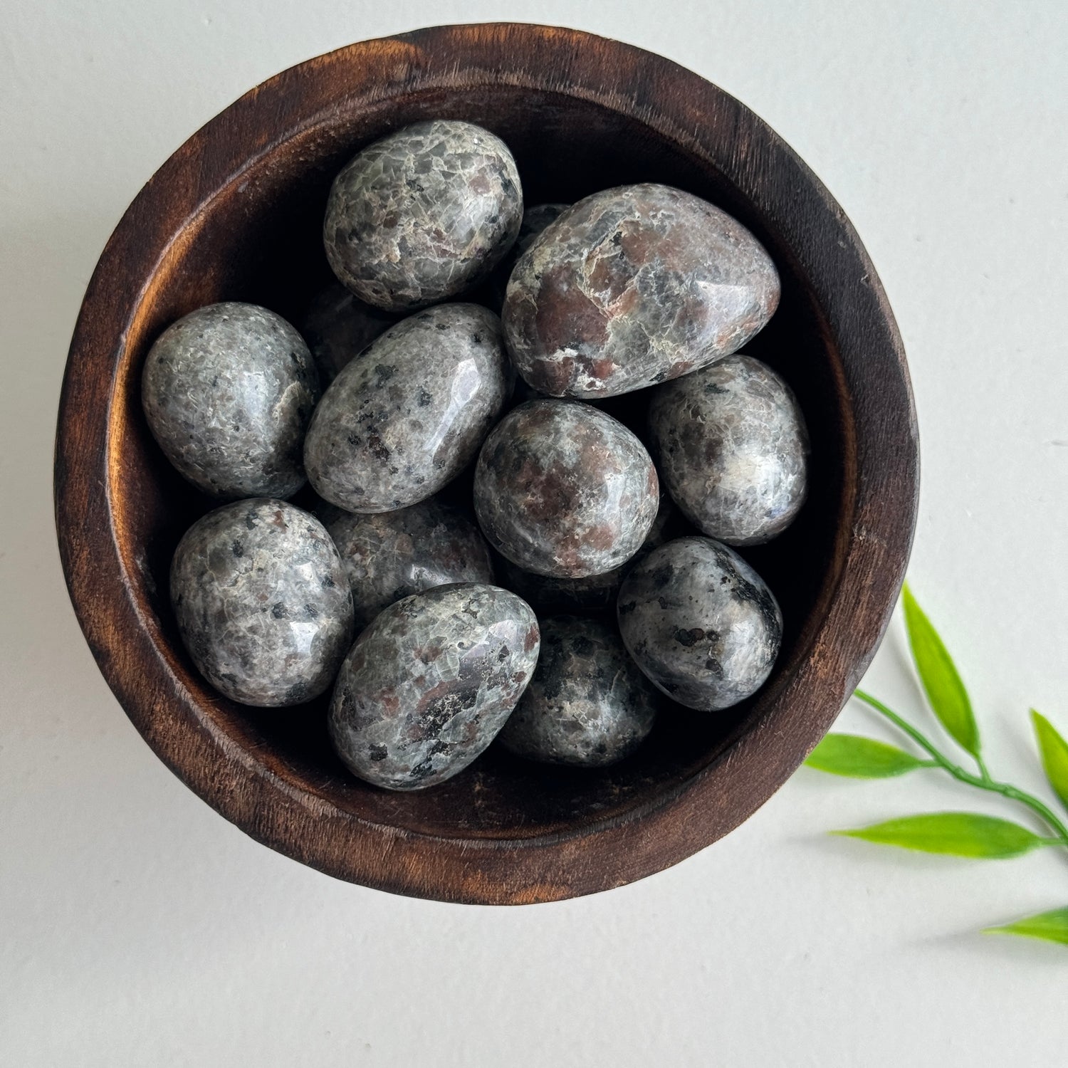 Yooperlite Tumbled