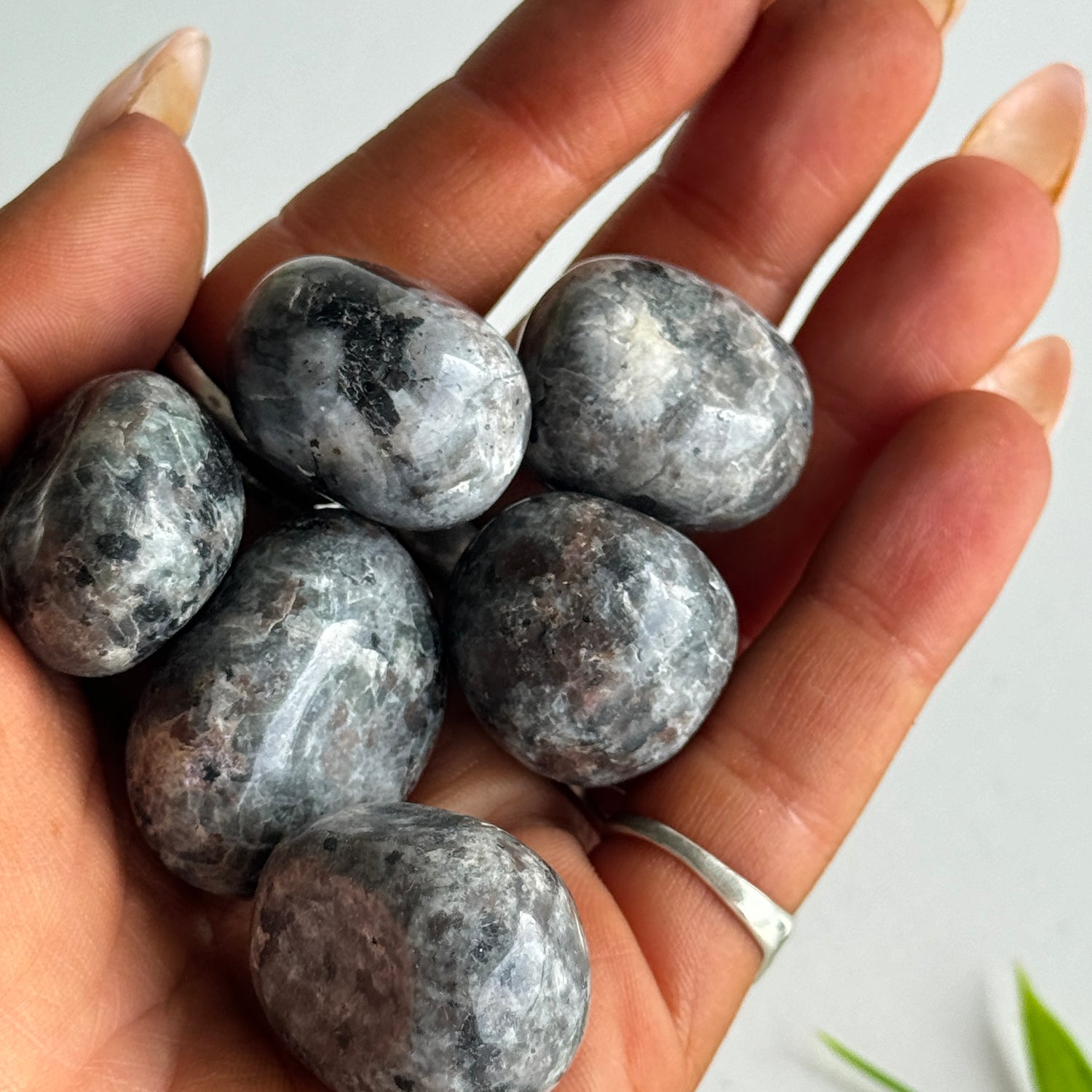 Yooperlite Tumbled