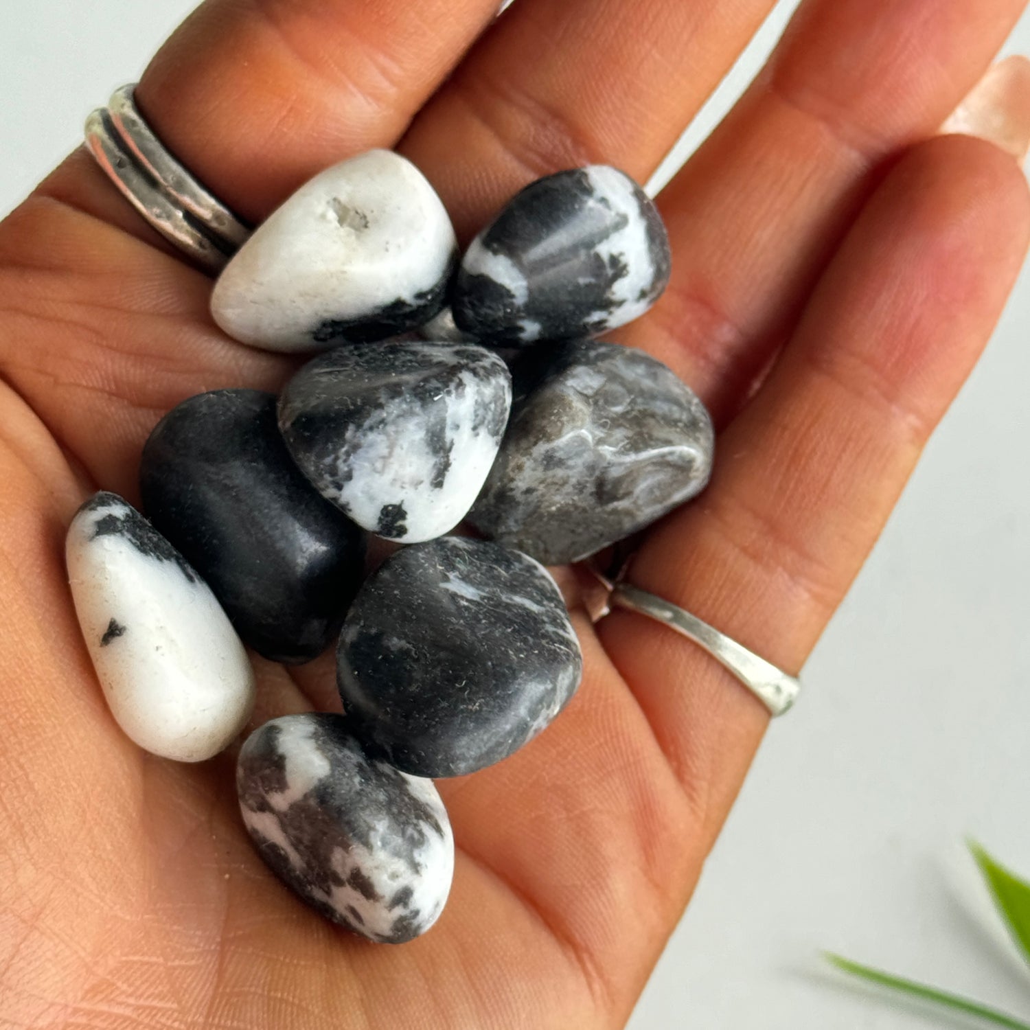 Zebra Jasper Tumbled