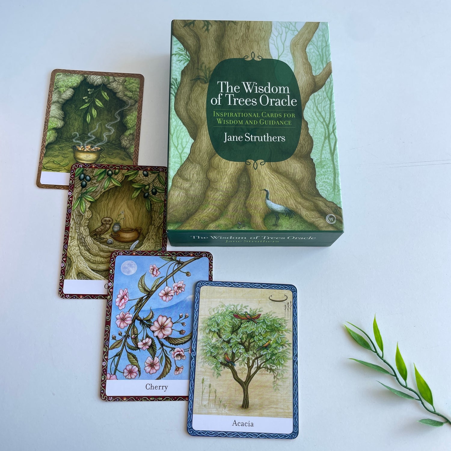 Wisdom of the Trees Oracle